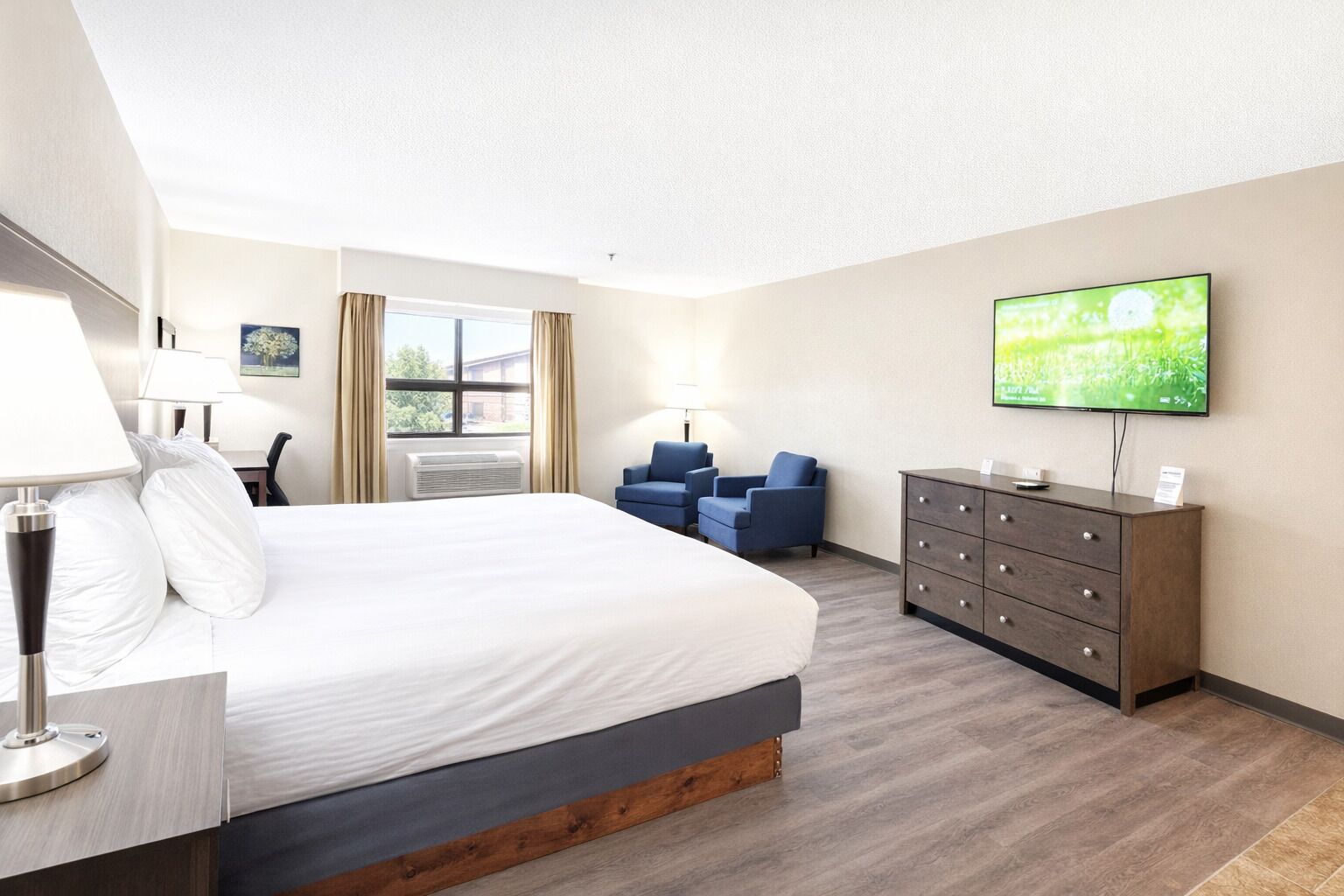 Pillow-top beds, desk, laptop workspace, iron/ironing board