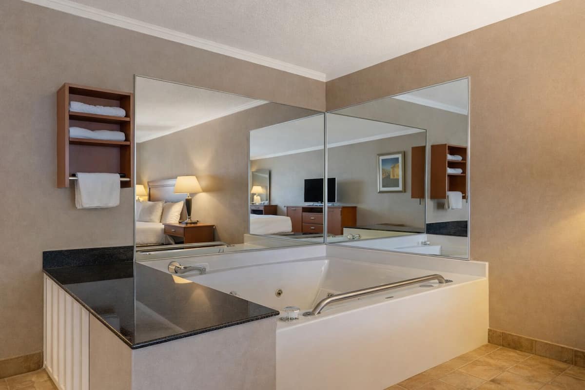 Suite, 1 King Bed, Non Smoking, Refrigerator & Microwave (with Sofabed) | Reception