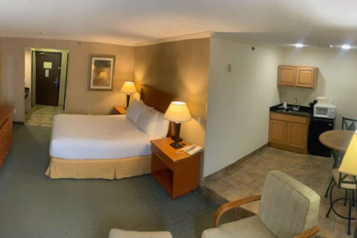 Suite, 1 Queen Bed, Non Smoking, Refrigerator & Microwave | Pillowtop beds, desk, laptop workspace, iron/ironing board