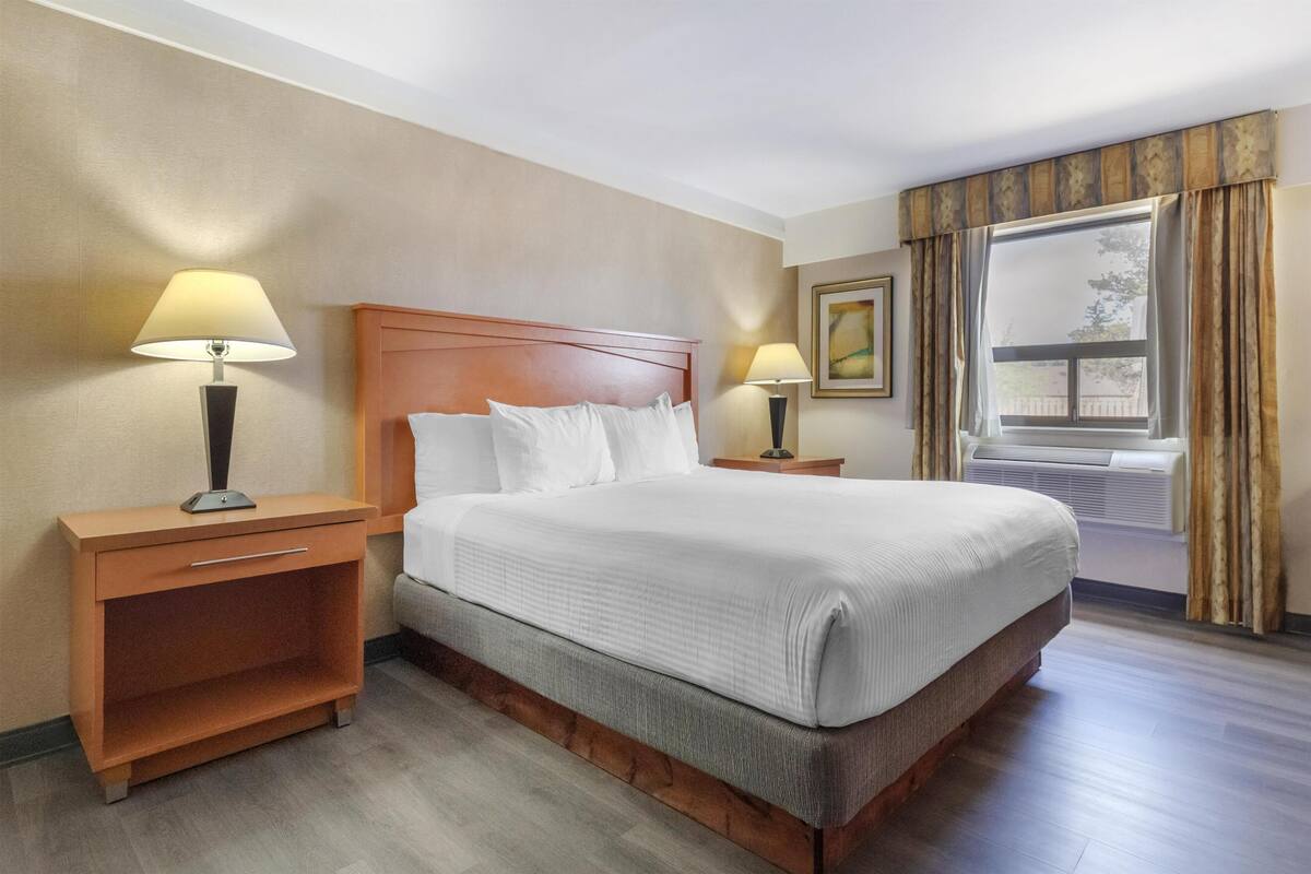 Standard Room, 1 King Bed, Accessible, Bathtub | Pillowtop beds, desk, laptop workspace, iron/ironing board