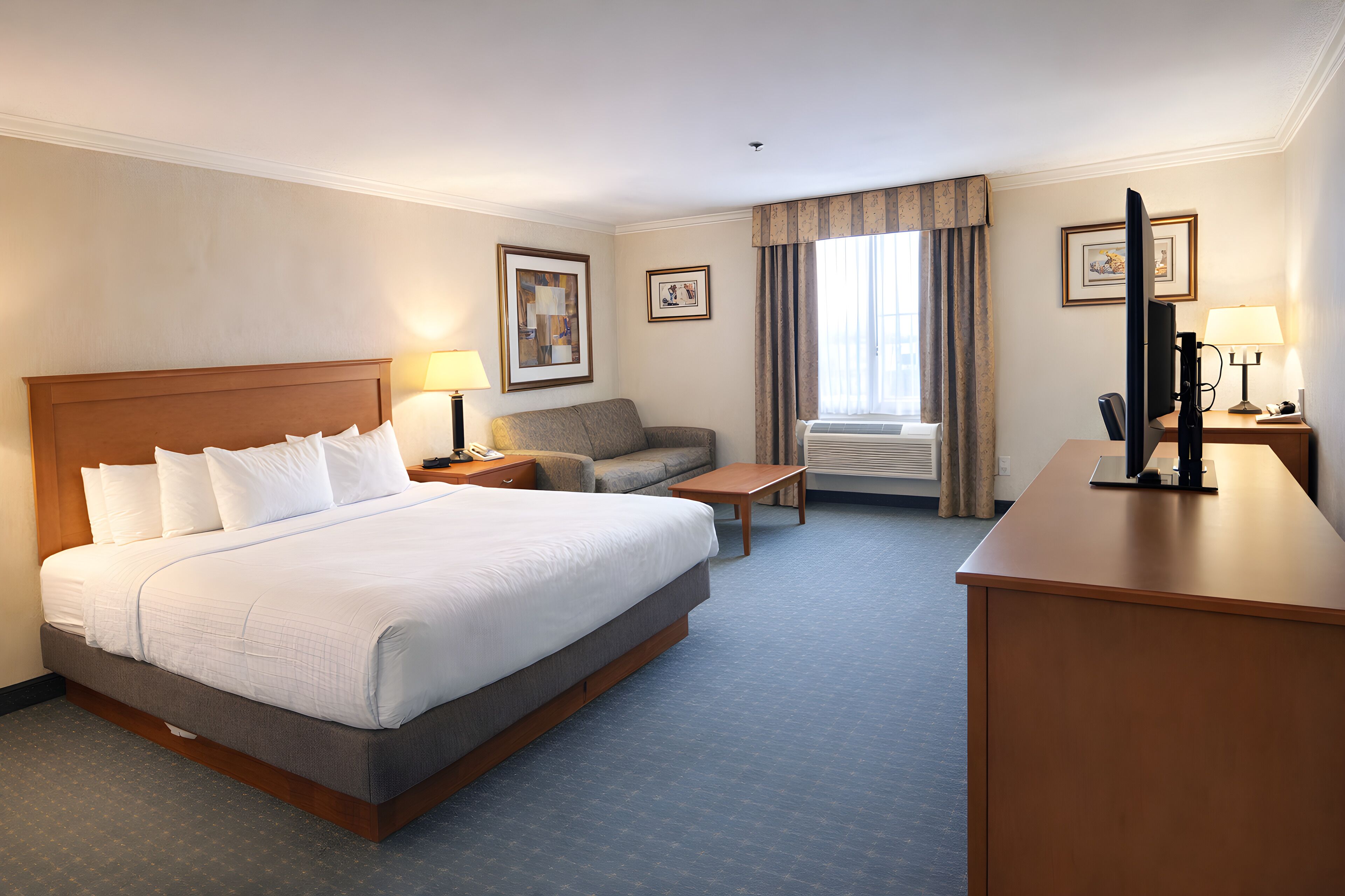 A hotel room with a large bed, a sofa, a desk, and a television.