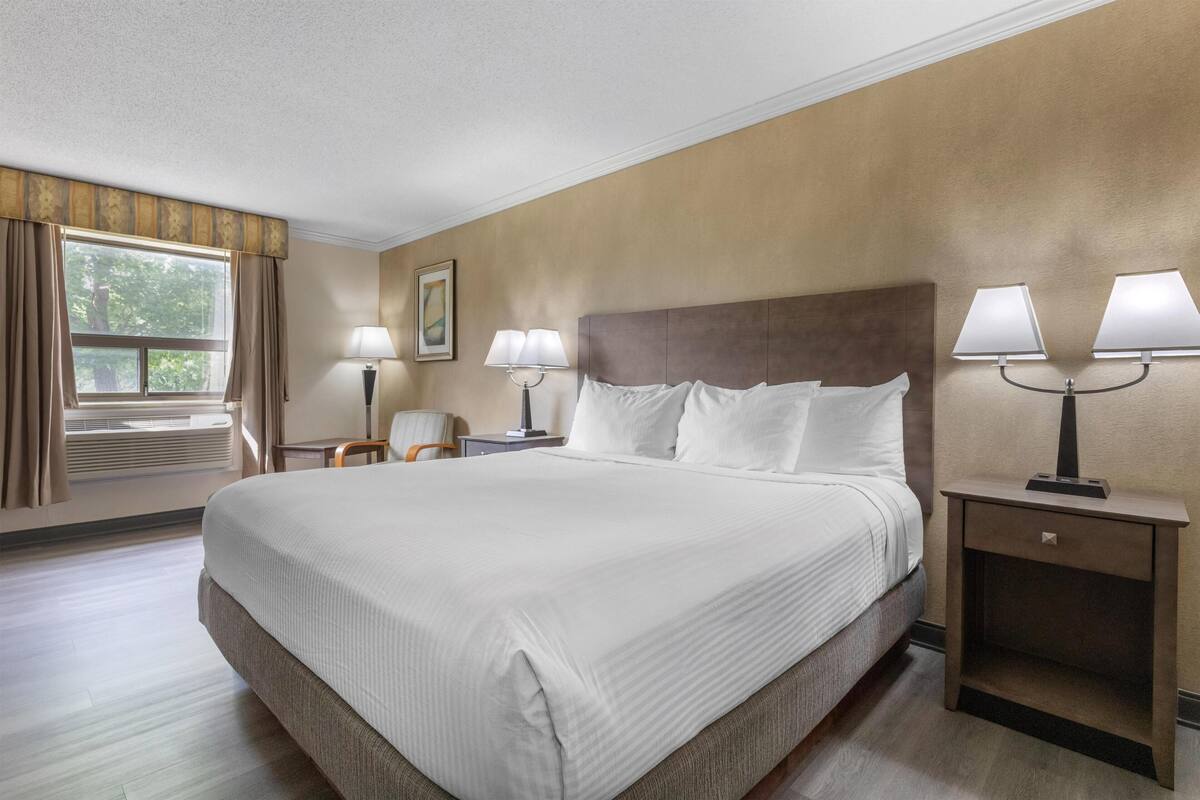 Standard Room, 1 King Bed, Non Smoking, Refrigerator & Microwave | Pillowtop beds, desk, laptop workspace, iron/ironing board