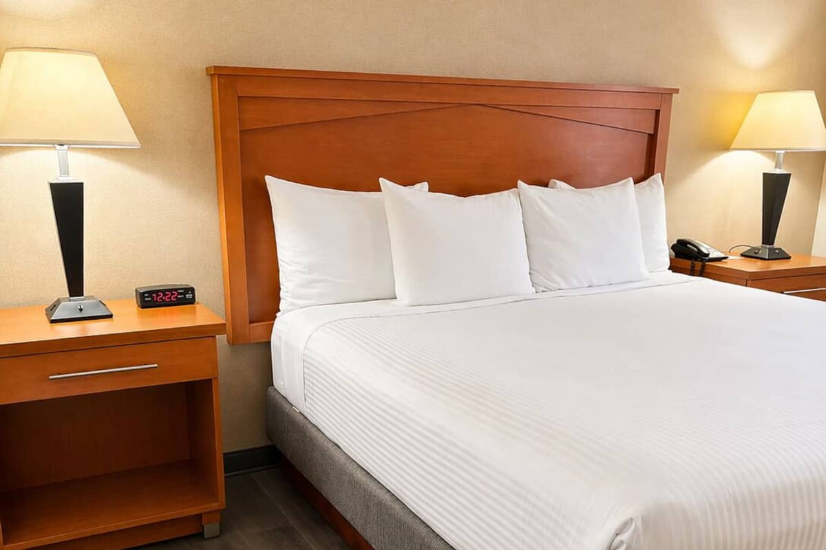 Standard Room, 1 King Bed, Accessible, Bathtub | Pillowtop beds, desk, laptop workspace, iron/ironing board