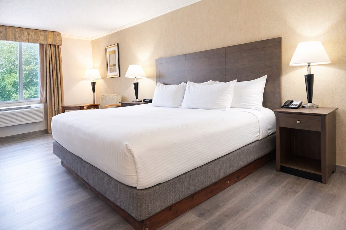 Pillow-top beds, desk, laptop workspace, iron/ironing board