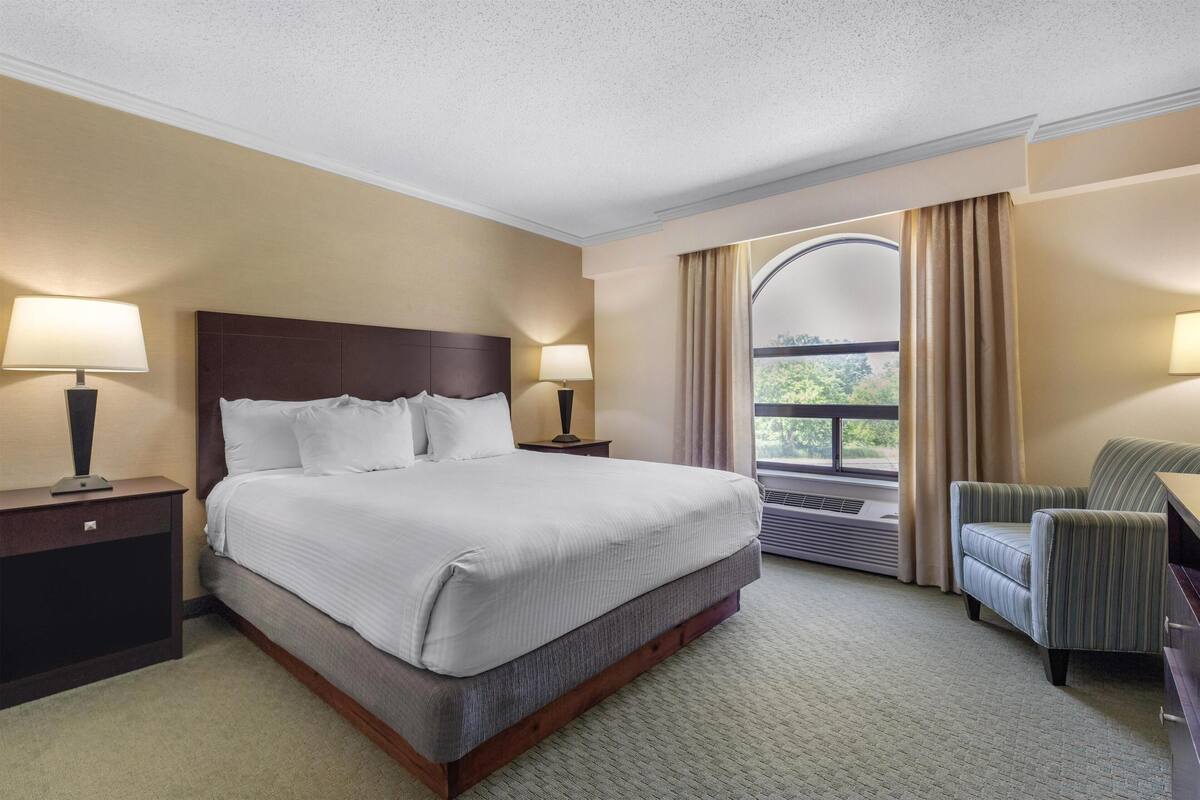 Suite, 1 King Bed, Non Smoking, Refrigerator & Microwave (with Sofabed) | Pillowtop beds, desk, laptop workspace, iron/ironing board