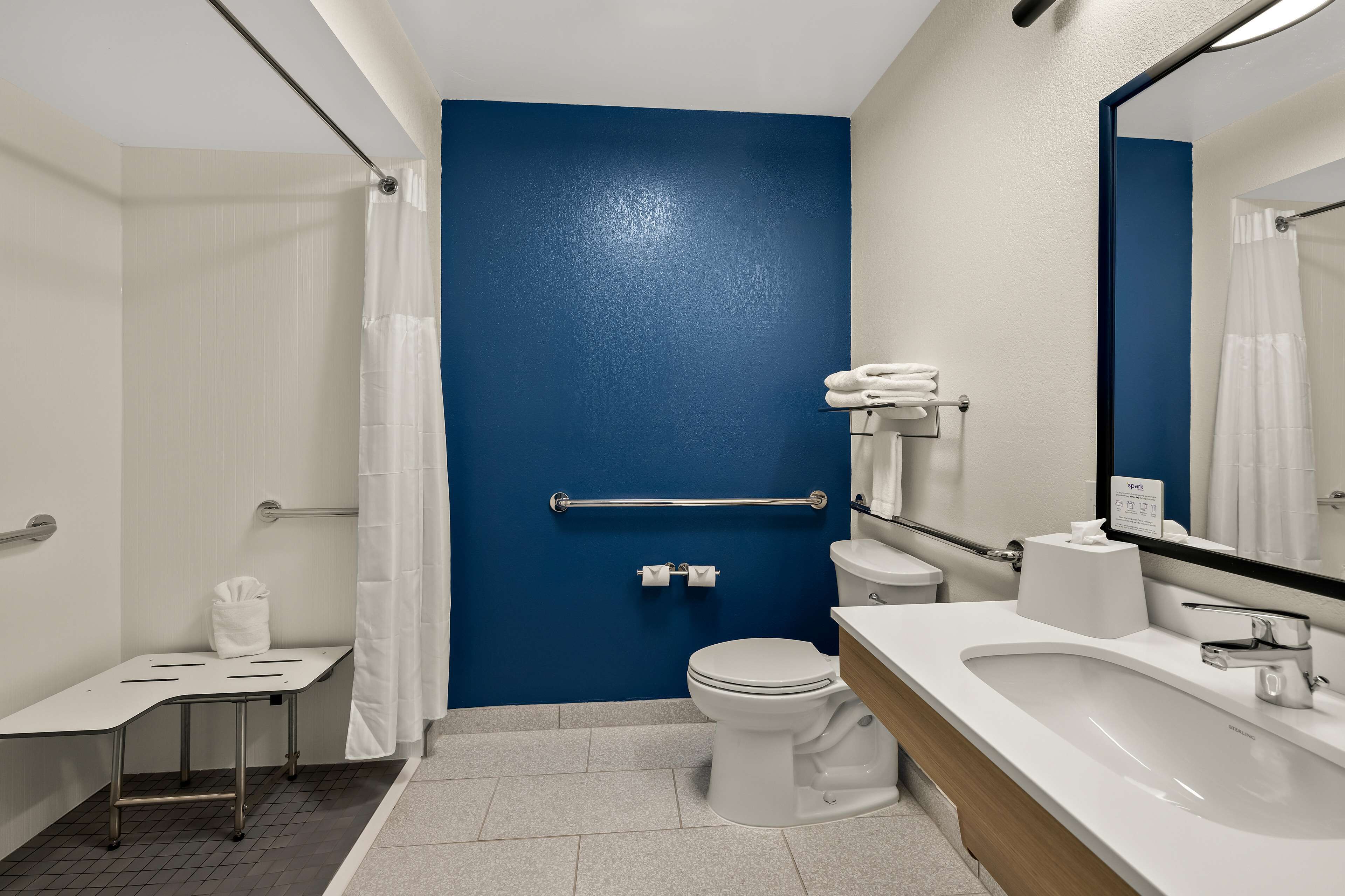 room, 1 king bed, accessible (mobility & hearing, roll-in shower) | bathroom shower