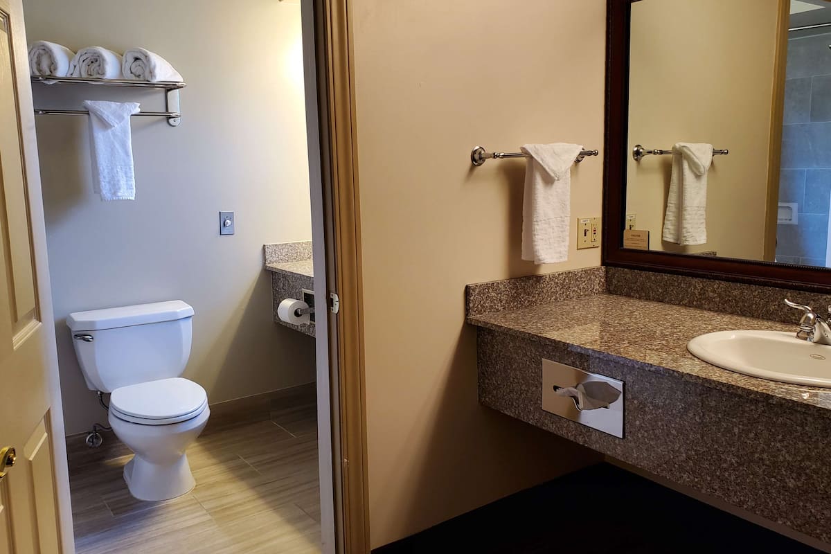 Suite, Multiple Beds | Bathroom | Combined shower/tub, free toiletries, hair dryer, towels