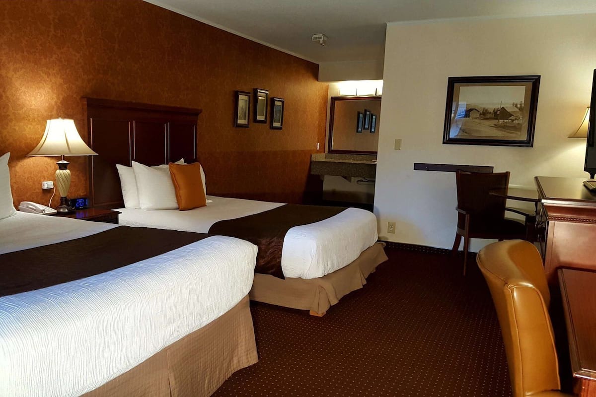 Postazione laptop, ferro/asse da stiro, Wi-Fi (a pagamento), lenzuola