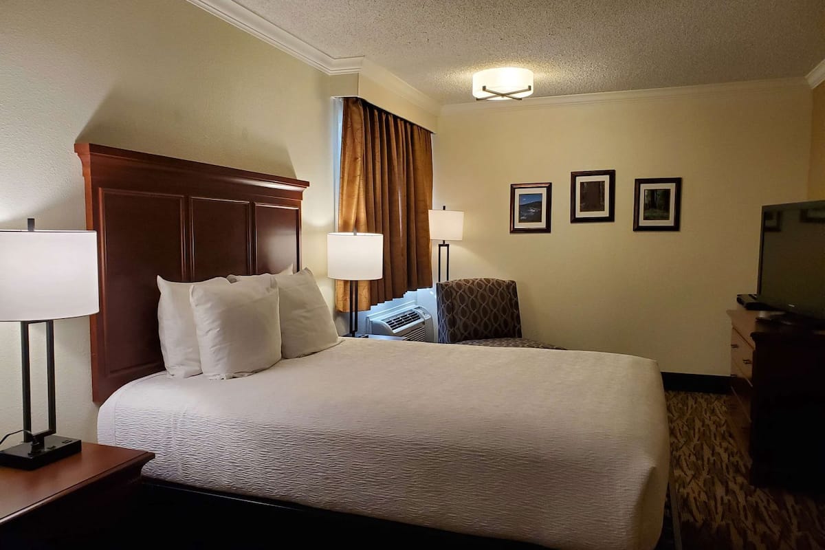 Postazione laptop, ferro/asse da stiro, Wi-Fi (a pagamento), lenzuola