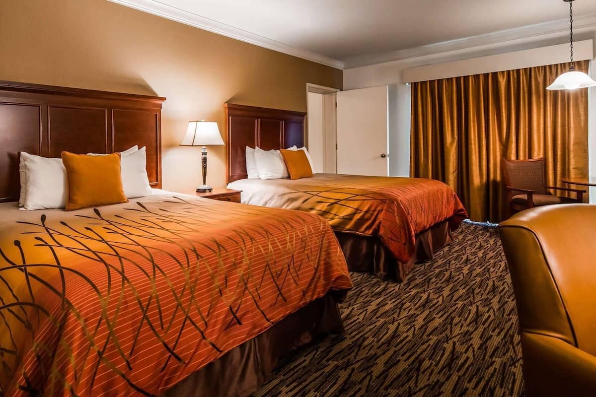 Postazione laptop, ferro/asse da stiro, Wi-Fi (a pagamento), lenzuola