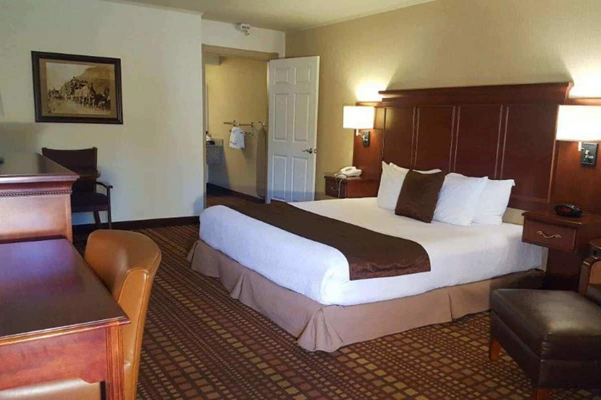 Postazione laptop, ferro/asse da stiro, Wi-Fi (a pagamento), lenzuola