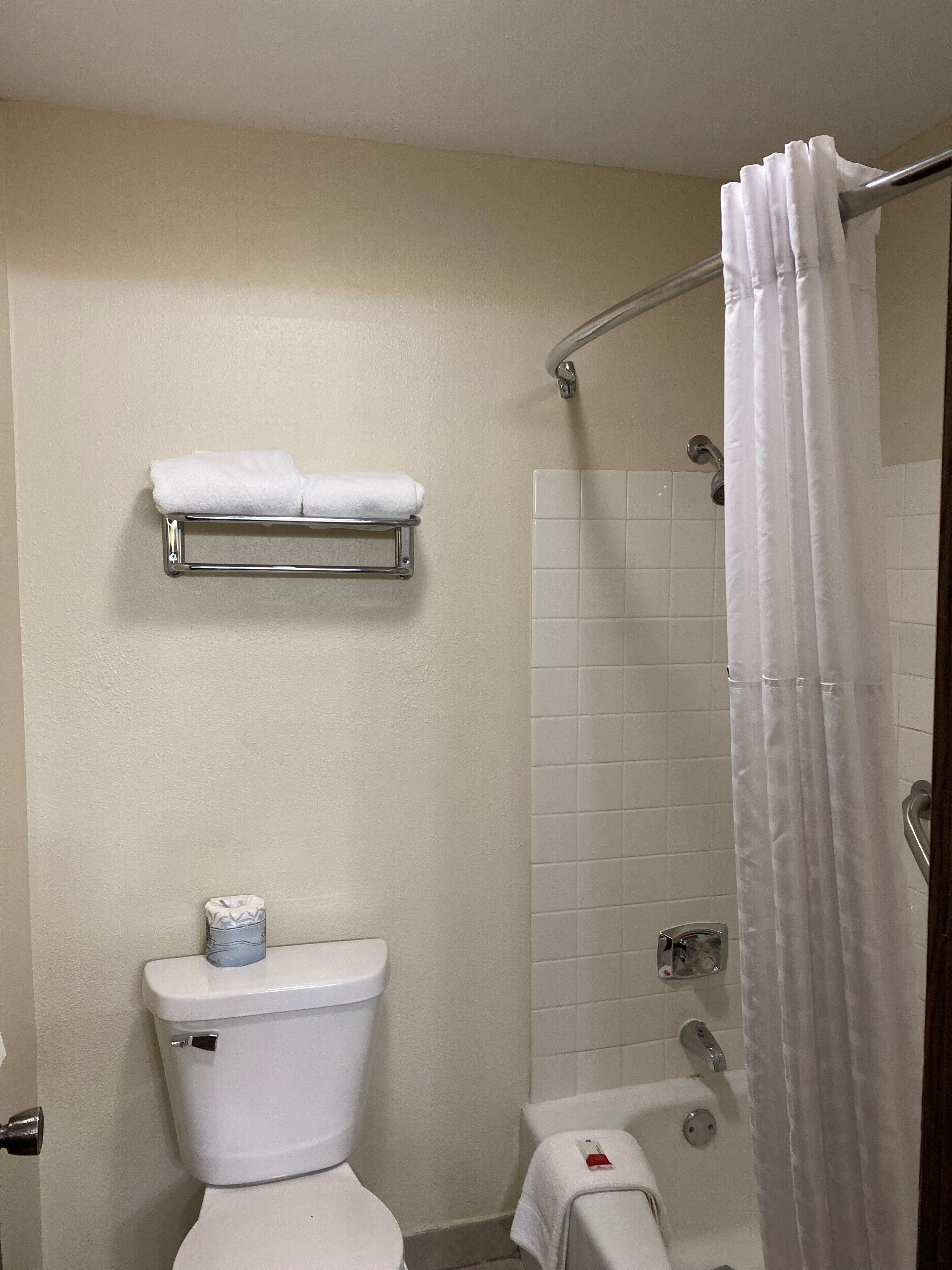 A bathroom with a toilet, a shower, and a towel rack.