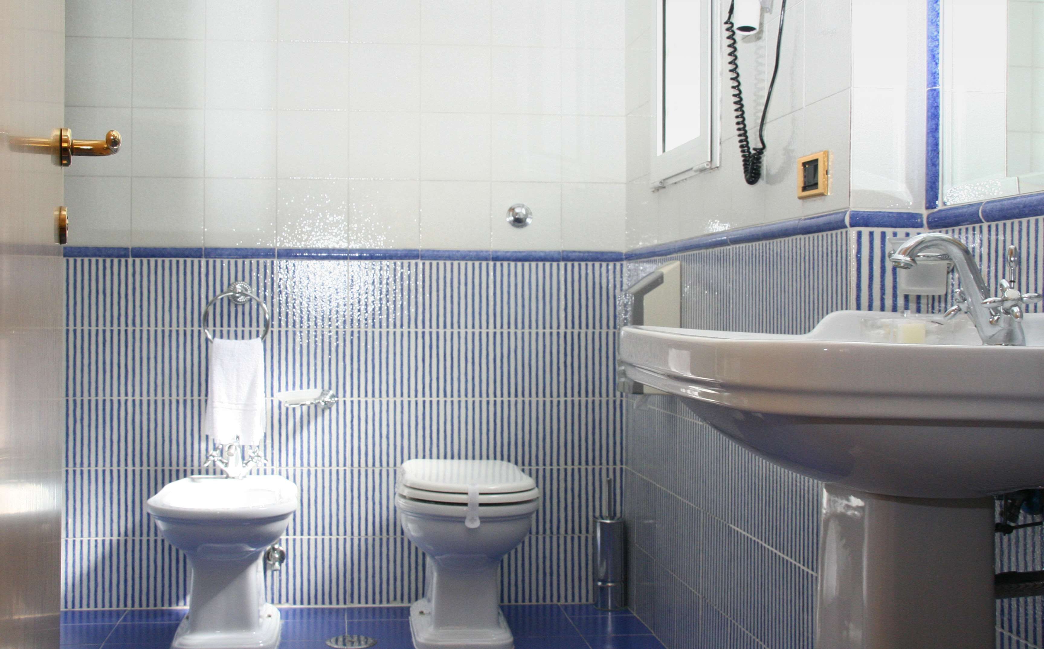 combined shower/bathtub, hair dryer, bidet, towels