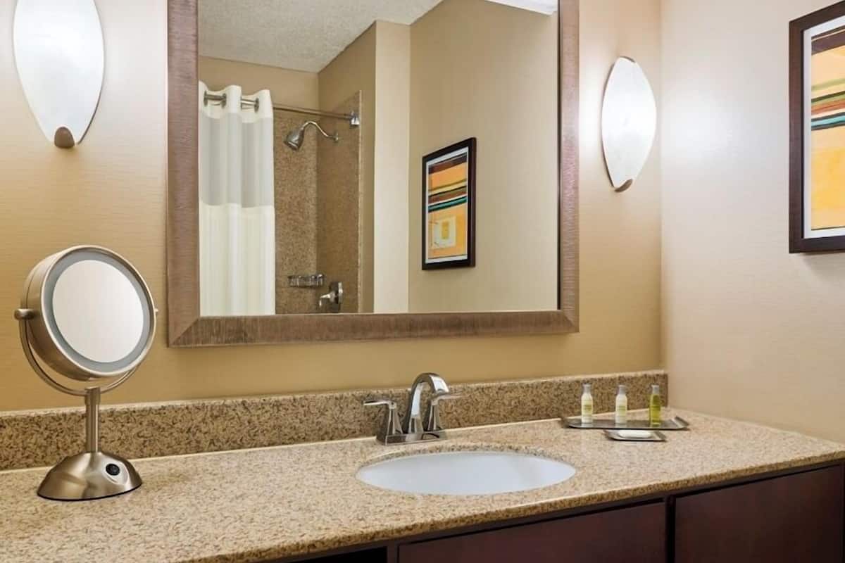 combined shower/bathtub, free toiletries, hair dryer, towels