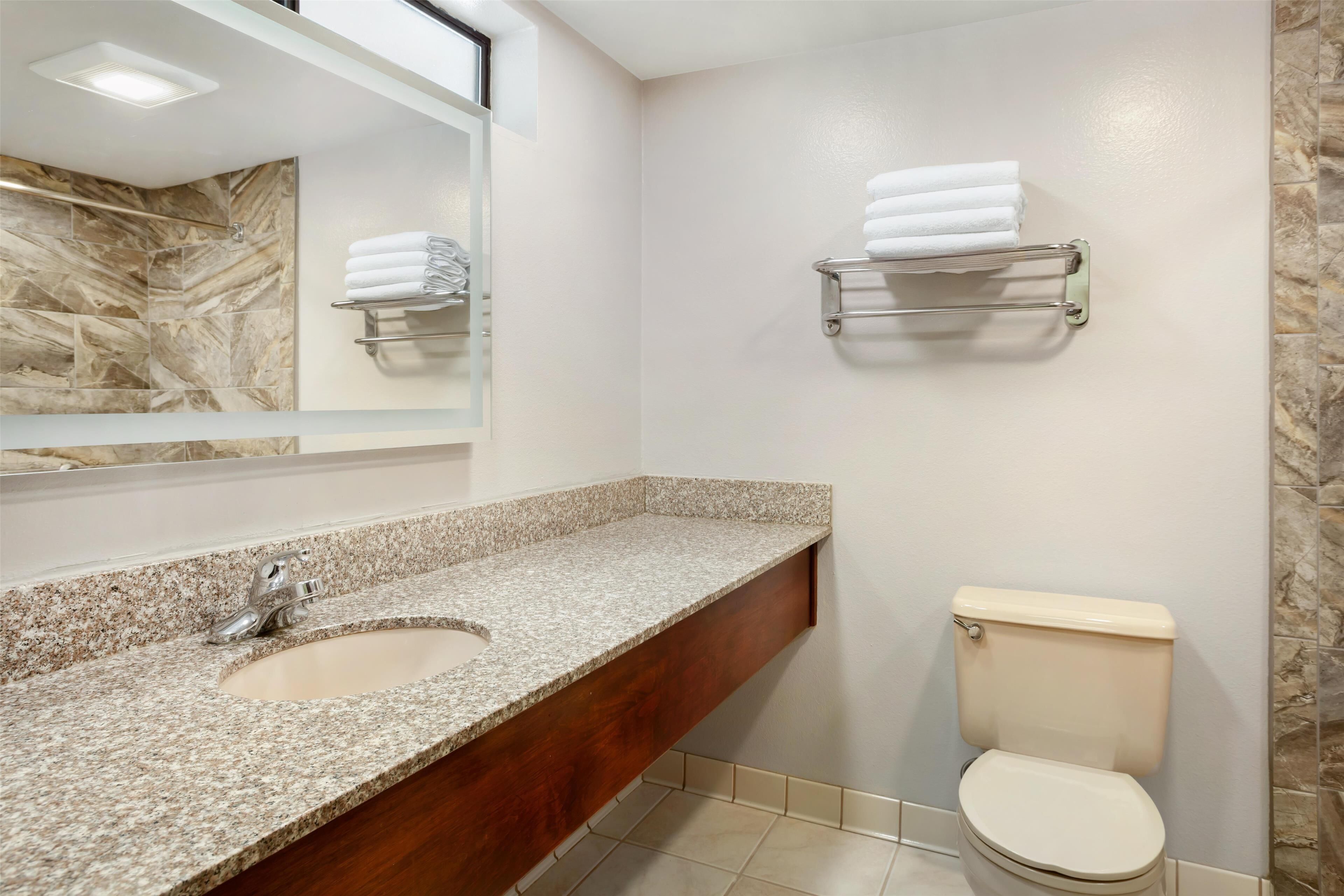 Une salle de bain avec un lavabo à vasque en granit, un miroir, des toilettes et des porte-serviettes fixés au mur.