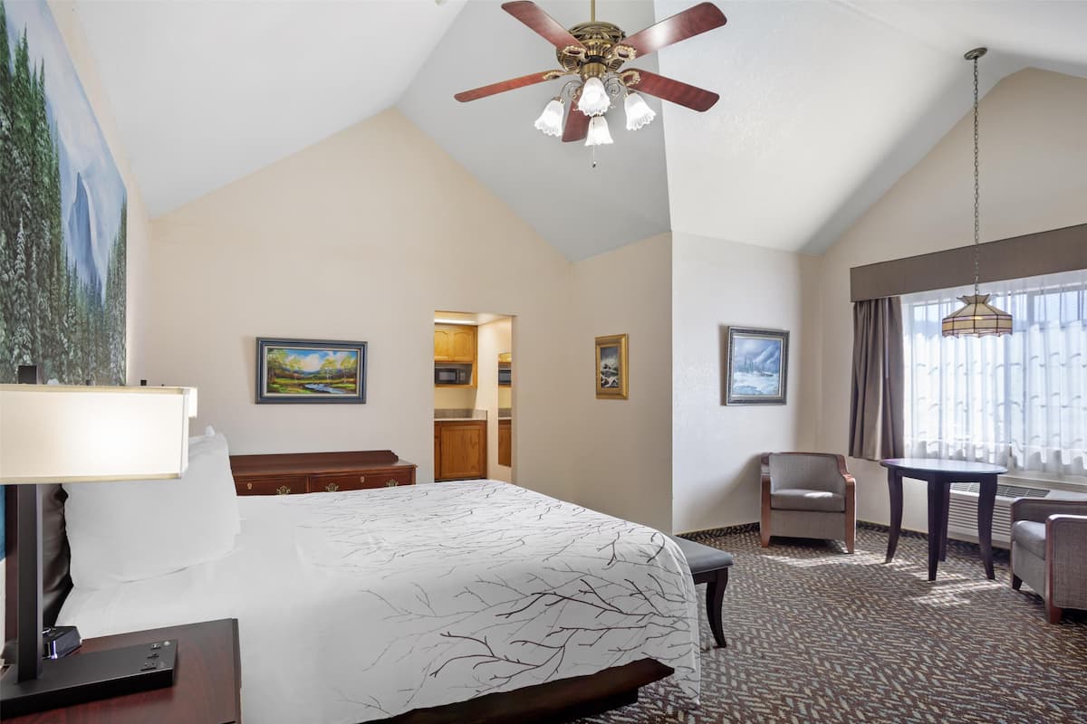 Standard Room, 1 King Bed, Non Smoking | Iron/ironing board, cribs/infant beds, rollaway beds, bed sheets