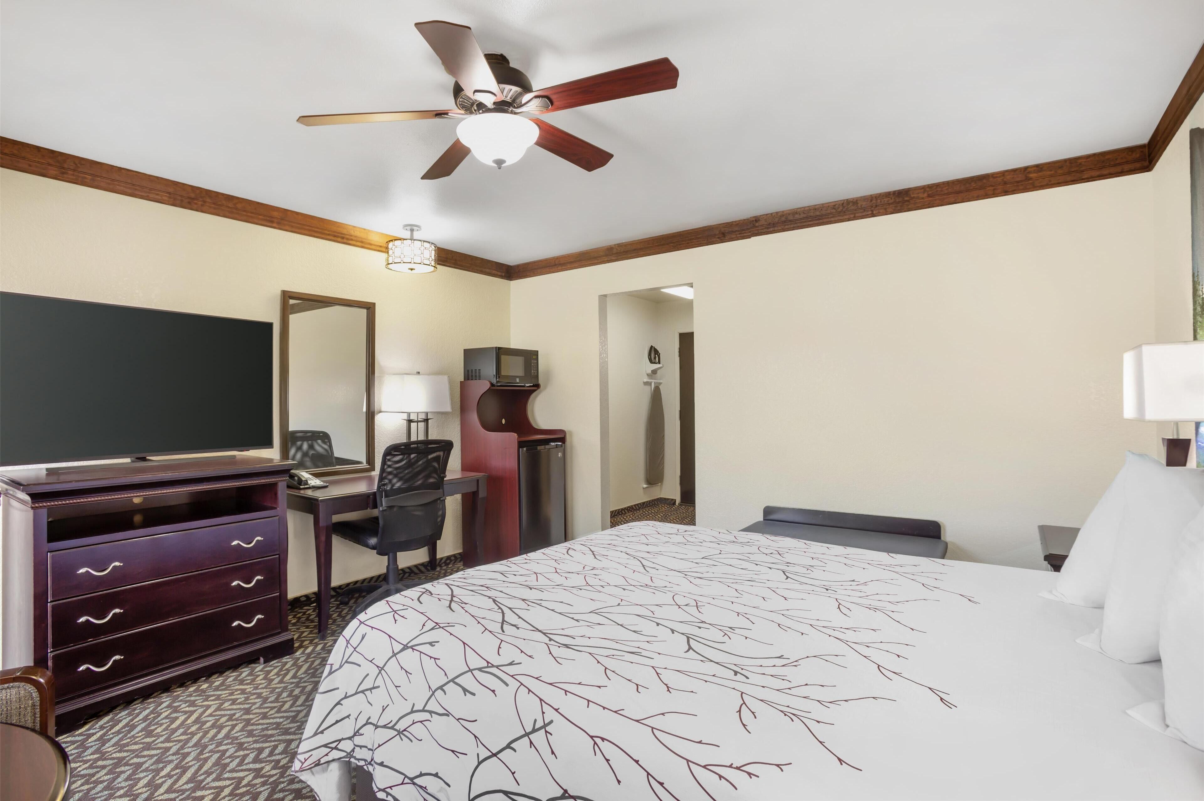 Camera d'albergo con un letto, una scrivania, una sedia, un televisore, una ventola a soffitto e uno specchio.