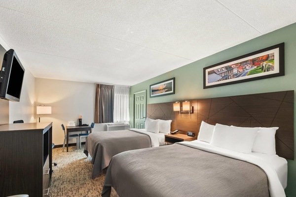 Standard Room, 2 Double Beds, Non Smoking | Desk, blackout drapes, iron/ironing board, free cribs/infant beds