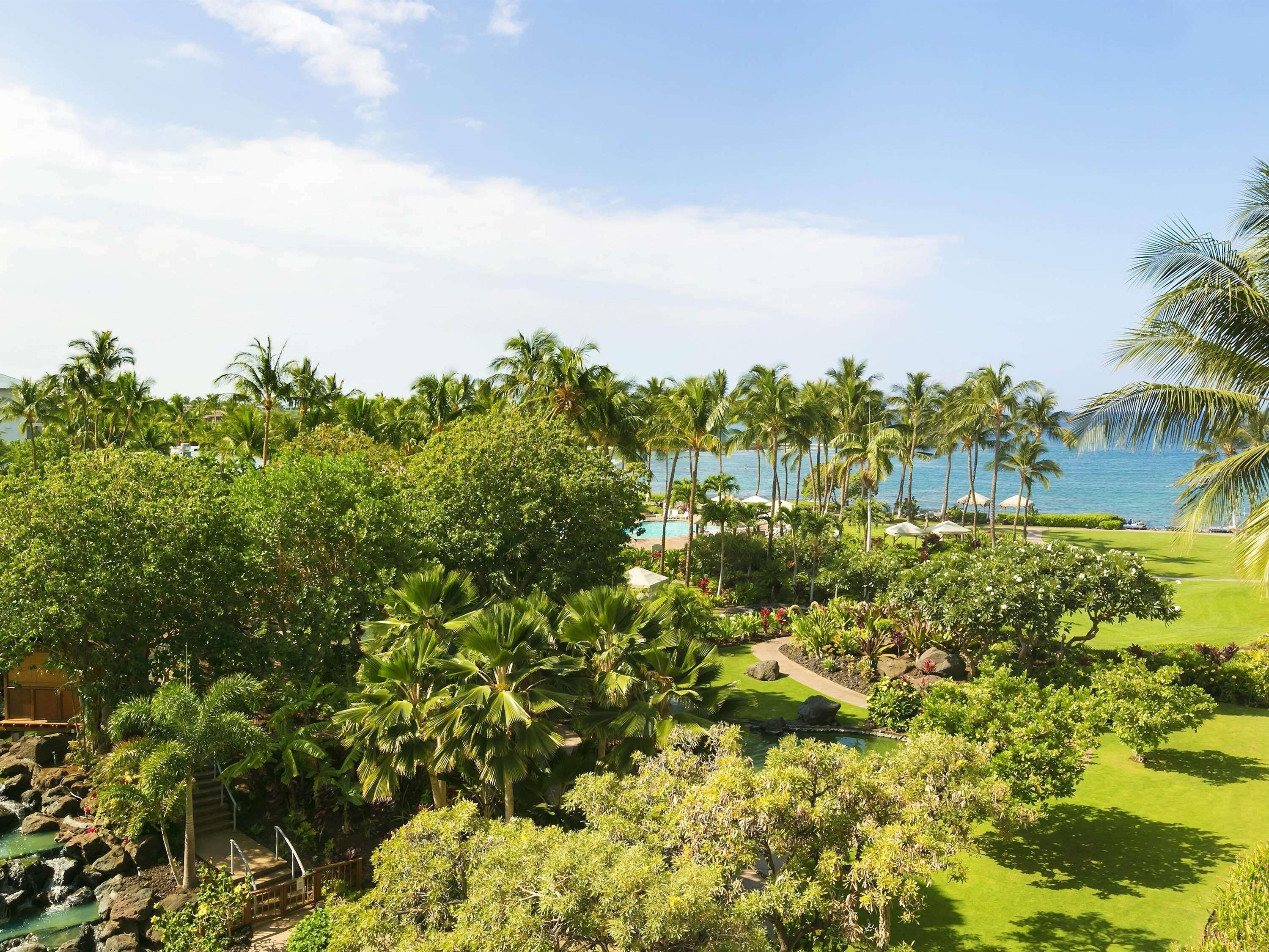 A tropical resort with a pool, palm trees, and a view of the ocean.
