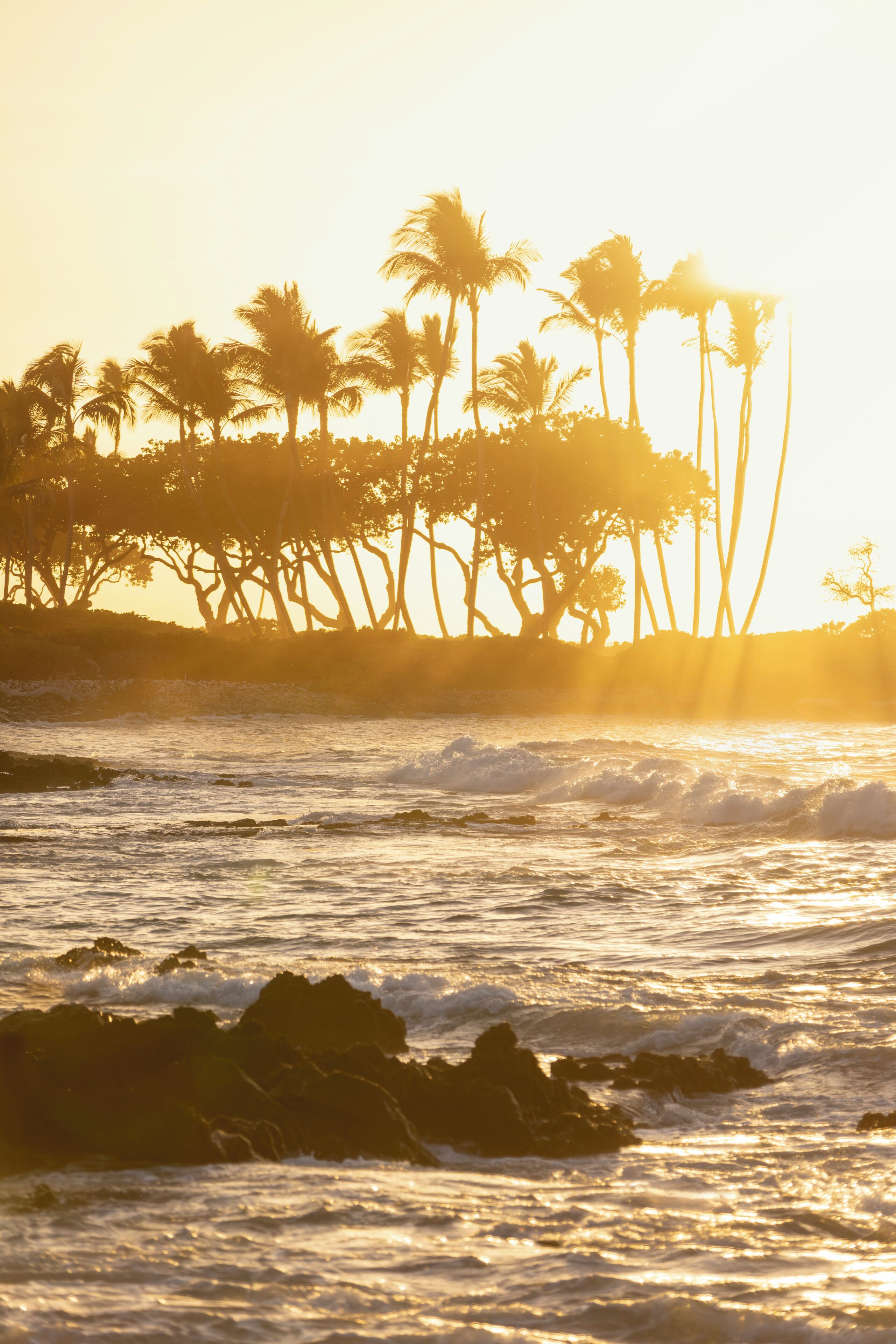Escena de playa con palmeras y olas del océano al atardecer.
