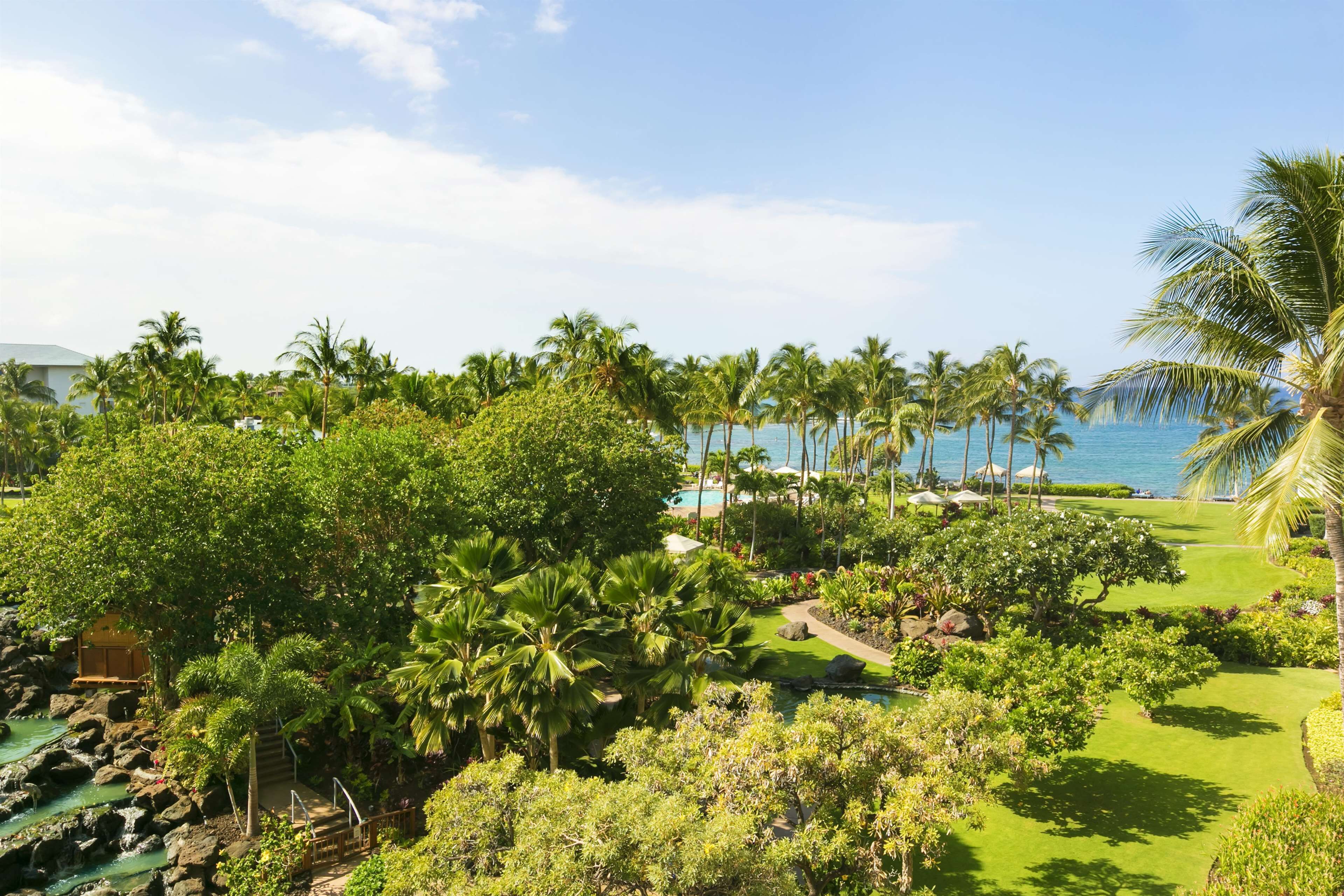 A lush resort with a pool, palm trees, and a view of the ocean.