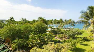 Quang cảnh từ phòng