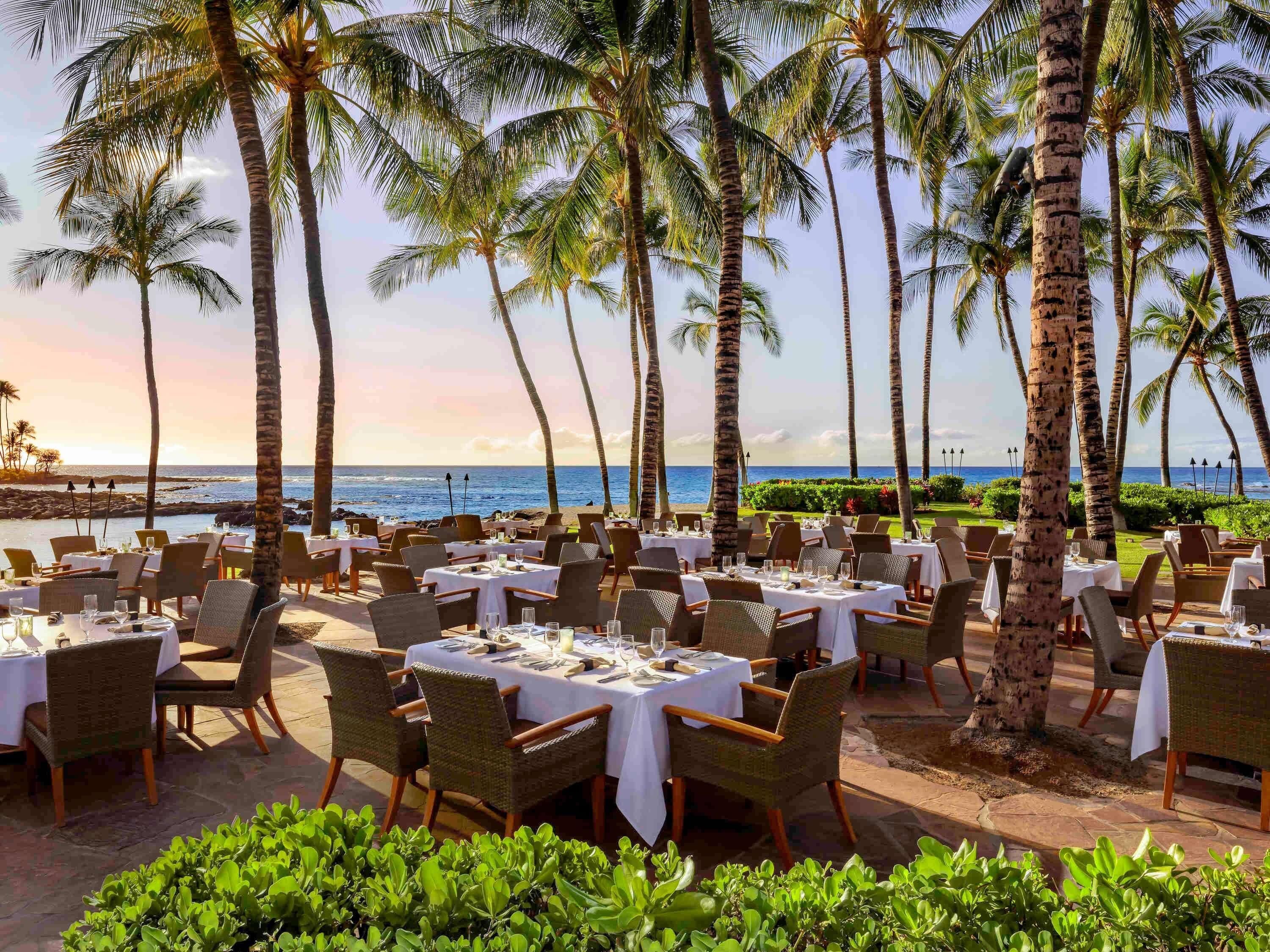 An outdoor dining area with tables and chairs, palm trees, and a view of the ocean.