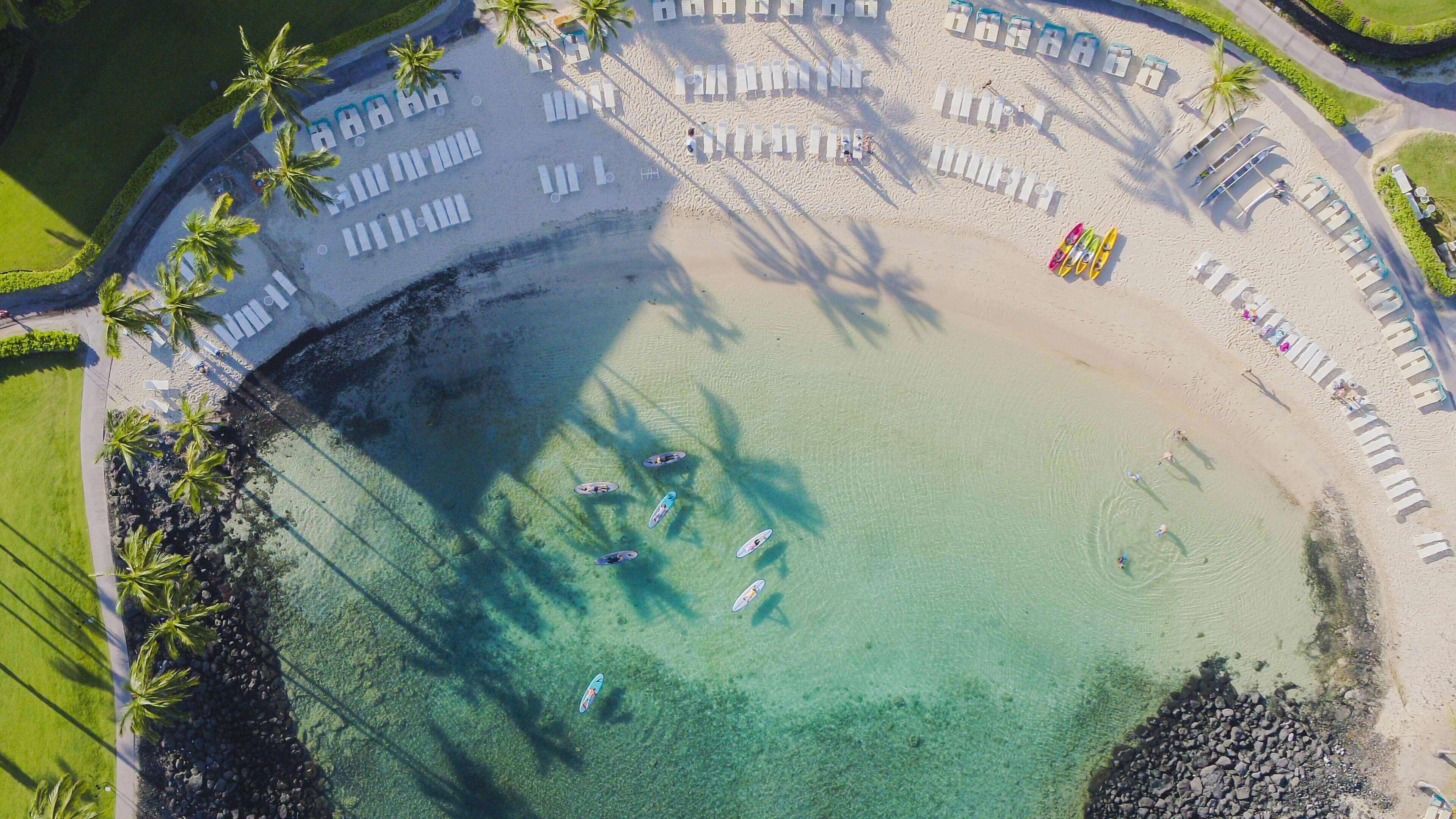 An aerial view of a beach with sun loungers and umbrellas arranged in rows, surrounded by palm trees.