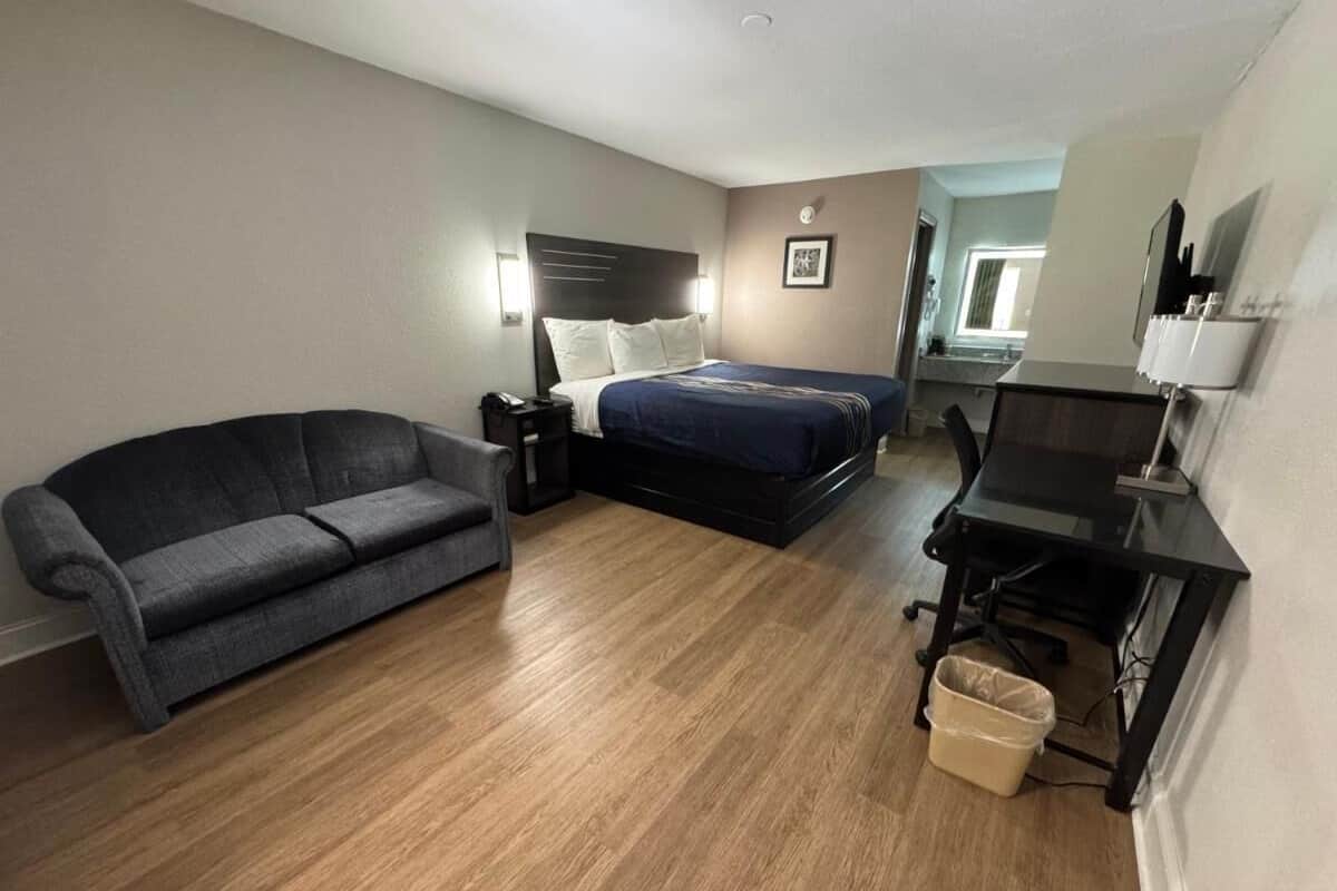 A hotel room with a bed, a desk, a chair, a sofa, and a trash bin.