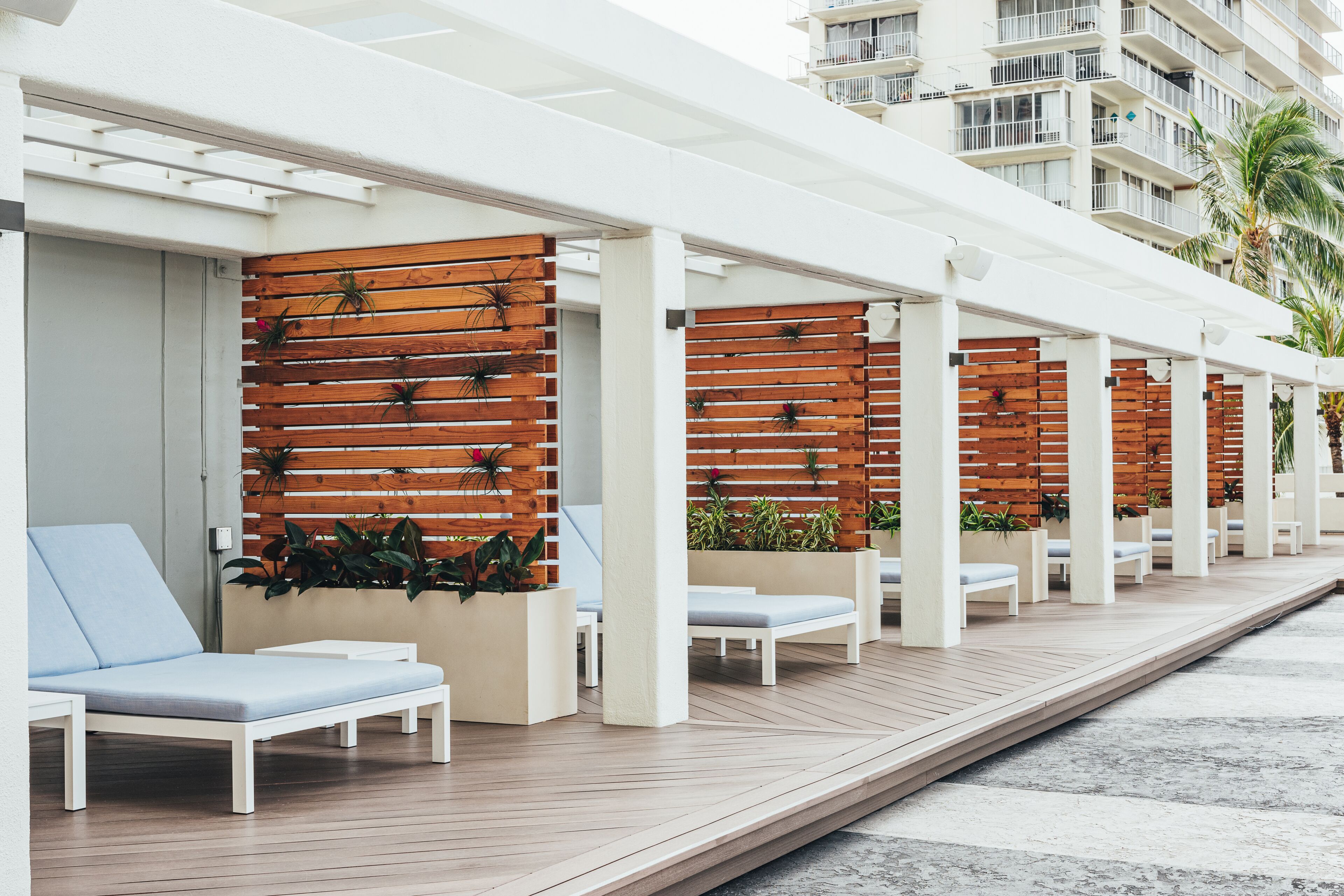 A row of white lounge chairs with blue cushions, wooden slatted walls, and potted plants.