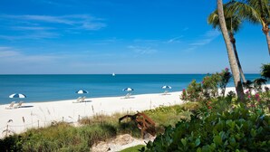 A beach with white sand, palm trees, and lounge chairs with umbrellas.