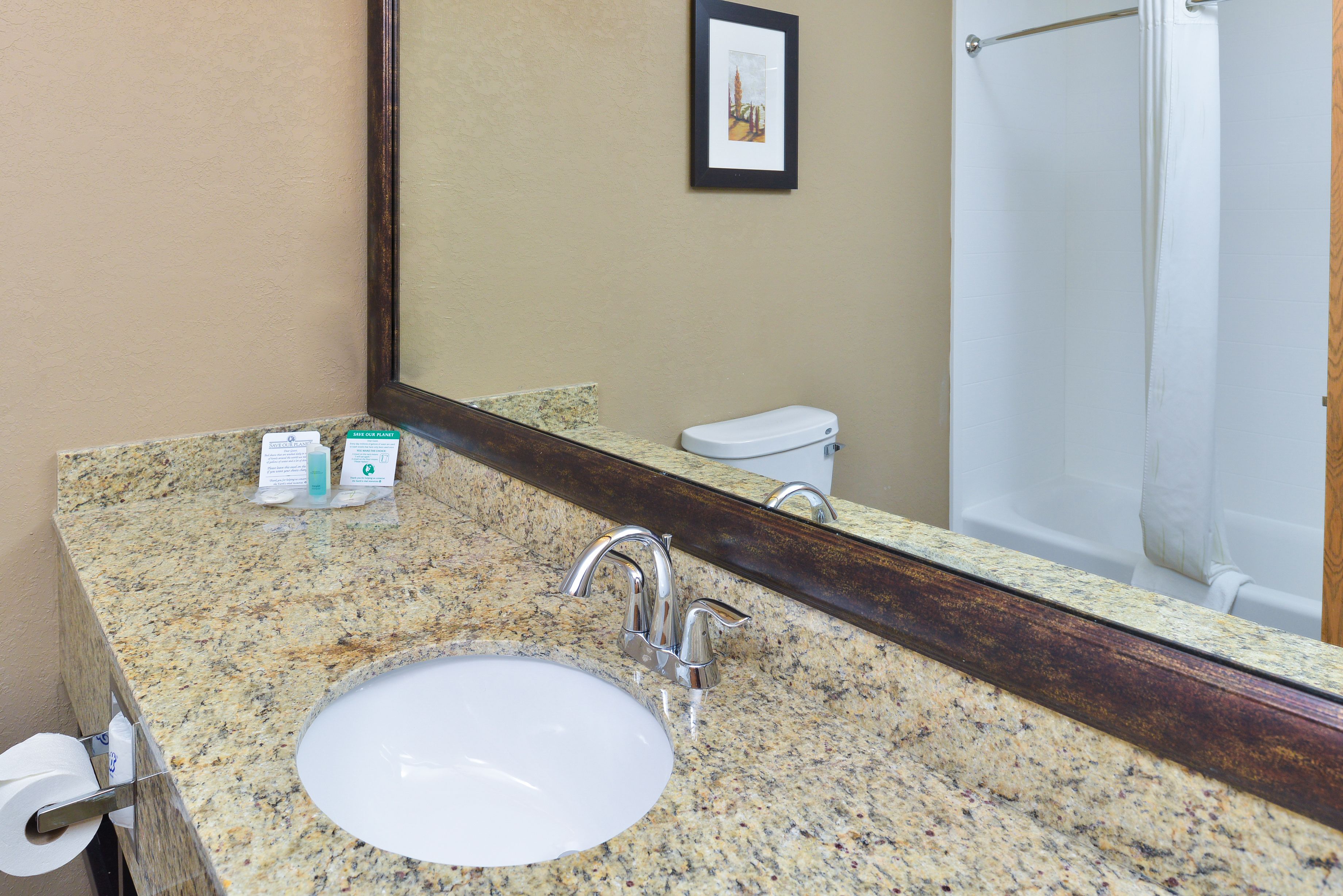 suite, 1 king bed with sofa bed, non smoking | bathroom | hair dryer, towels