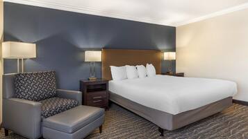 Standard Room, 1 King Bed, Accessible, Non Smoking