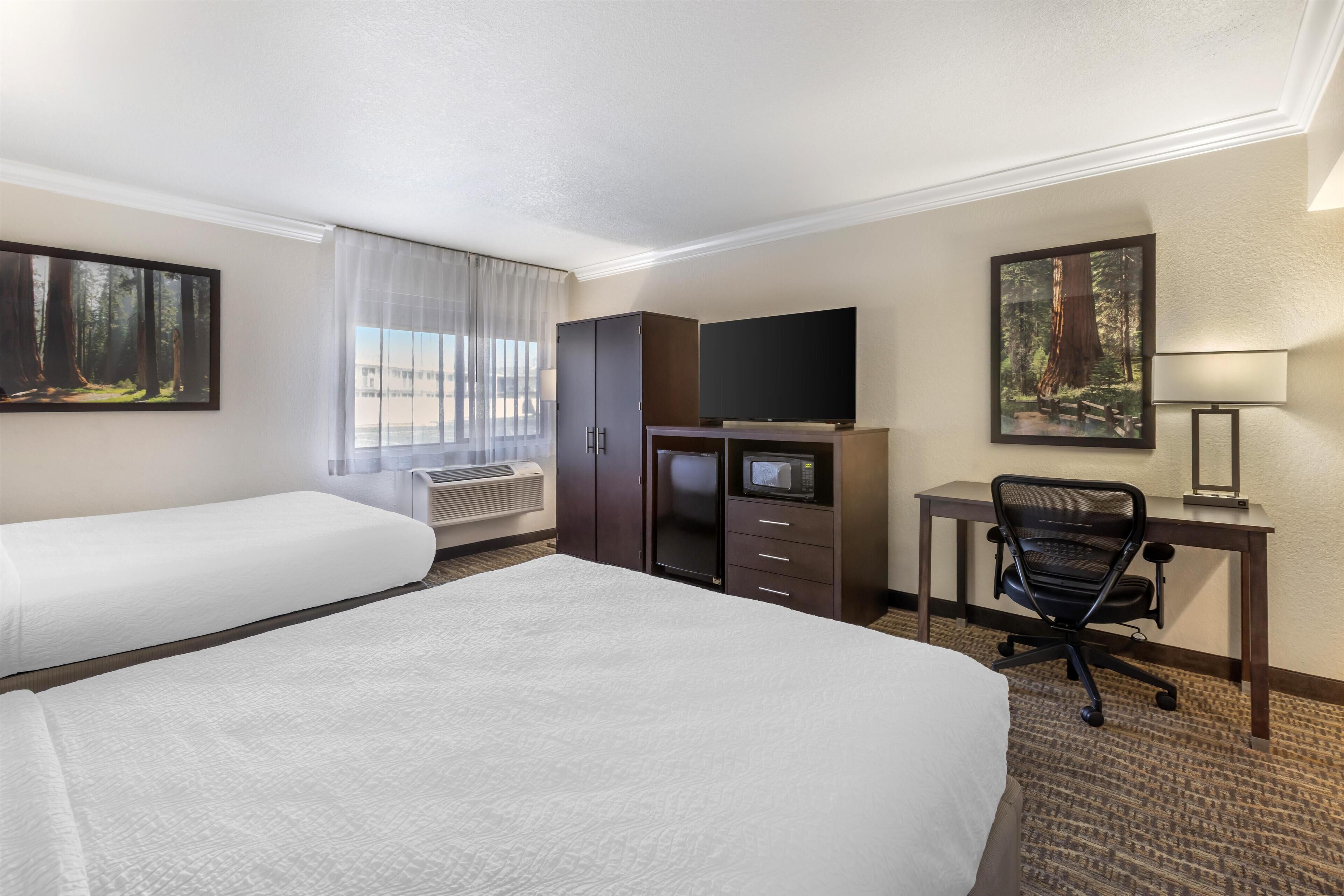 Habitación estándar, 2 camas Queen size, con acceso para personas discapacitadas, para no fumadores | Ropa de cama de alta calidad y escritorio 