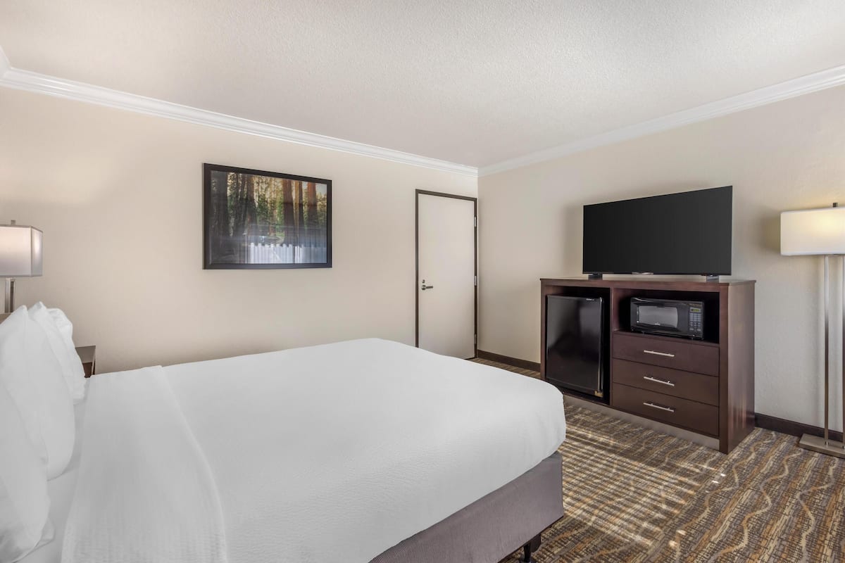 A hotel room with a large bed, a flat-screen TV, a microwave, and a door.