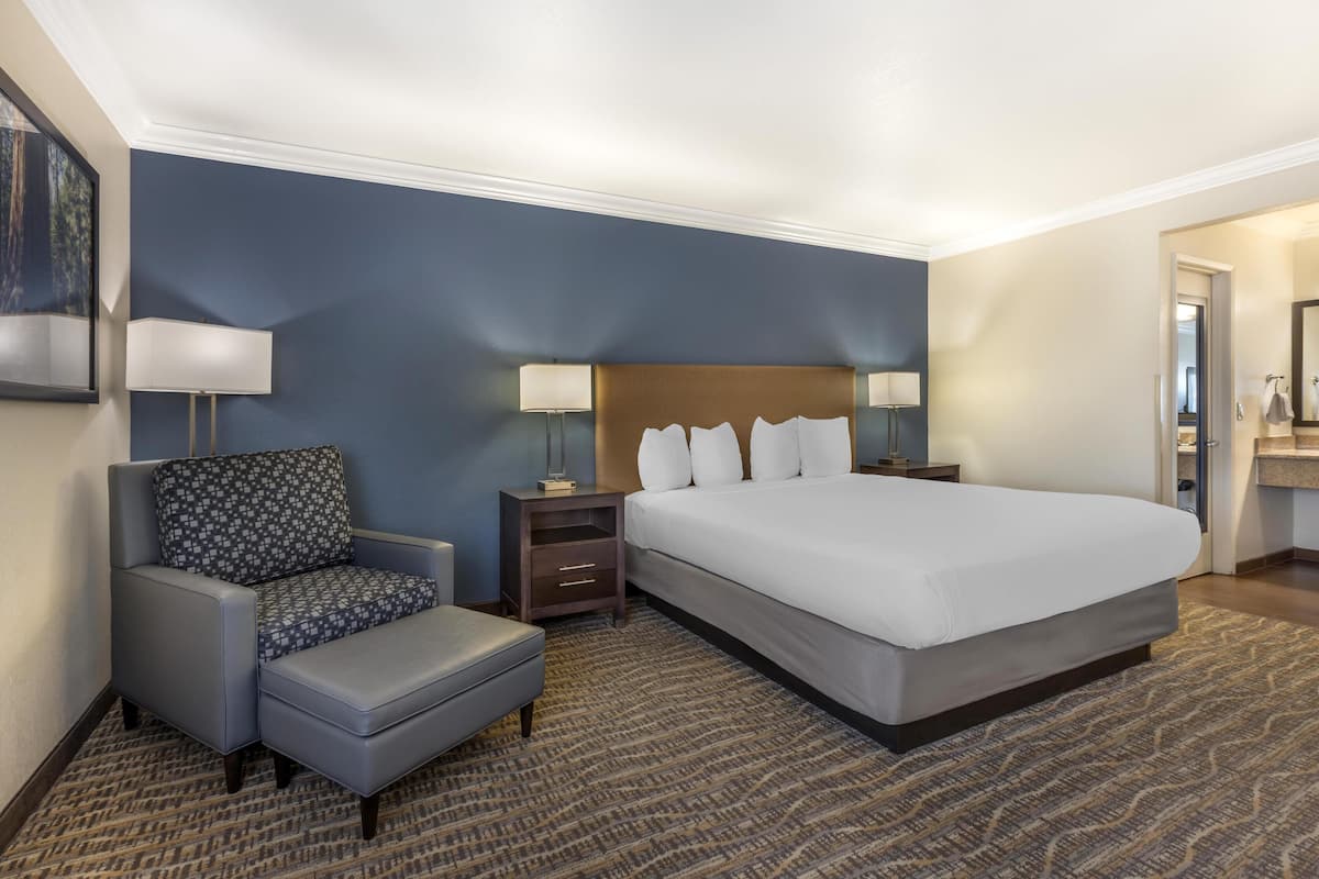 A hotel room with a large bed, a chair, two bedside tables with lamps, and a patterned rug.