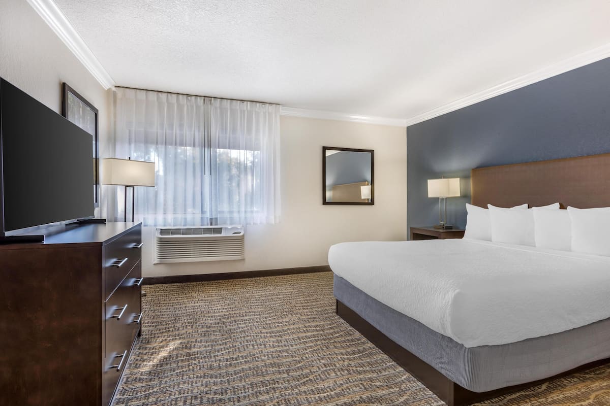 A hotel room with a bed, a TV, a desk, a chair, a lamp, a mirror, and a window with curtains.