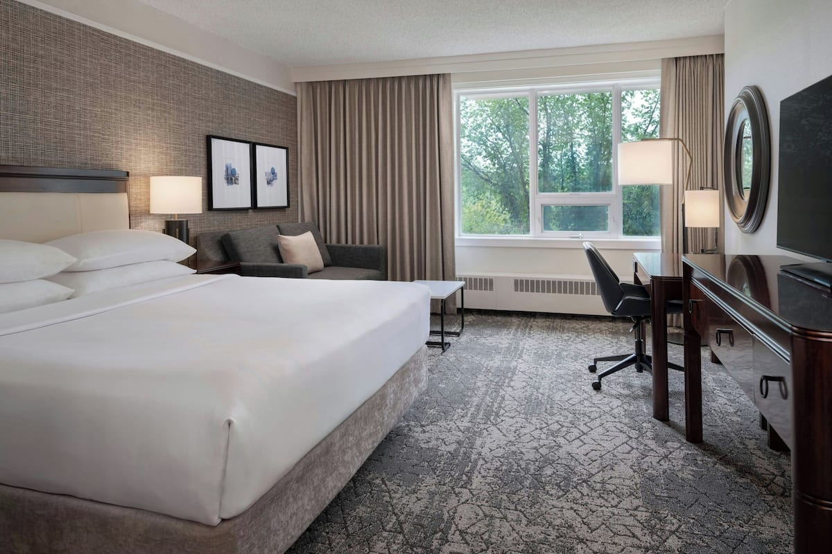 Chambre, 1 trÚs grand lit et 1 canapé-lit, vue parc | 1 chambre, literie de qualité supérieure, minibar