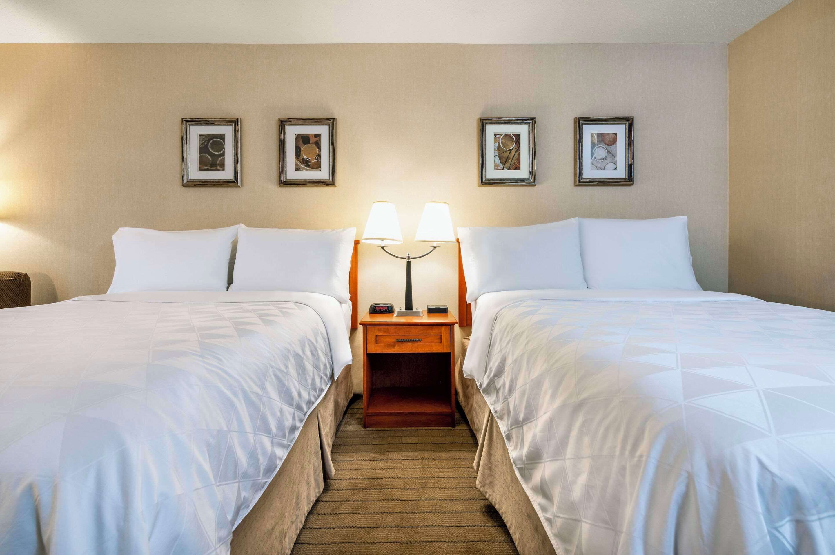 Premium bedding, pillowtop beds, desk, blackout drapes