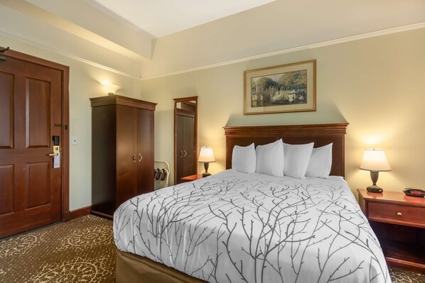 Habitación de hotel con una cama grande, dos mesitas de noche con lámparas, un armario de madera y un cuadro en la pared.