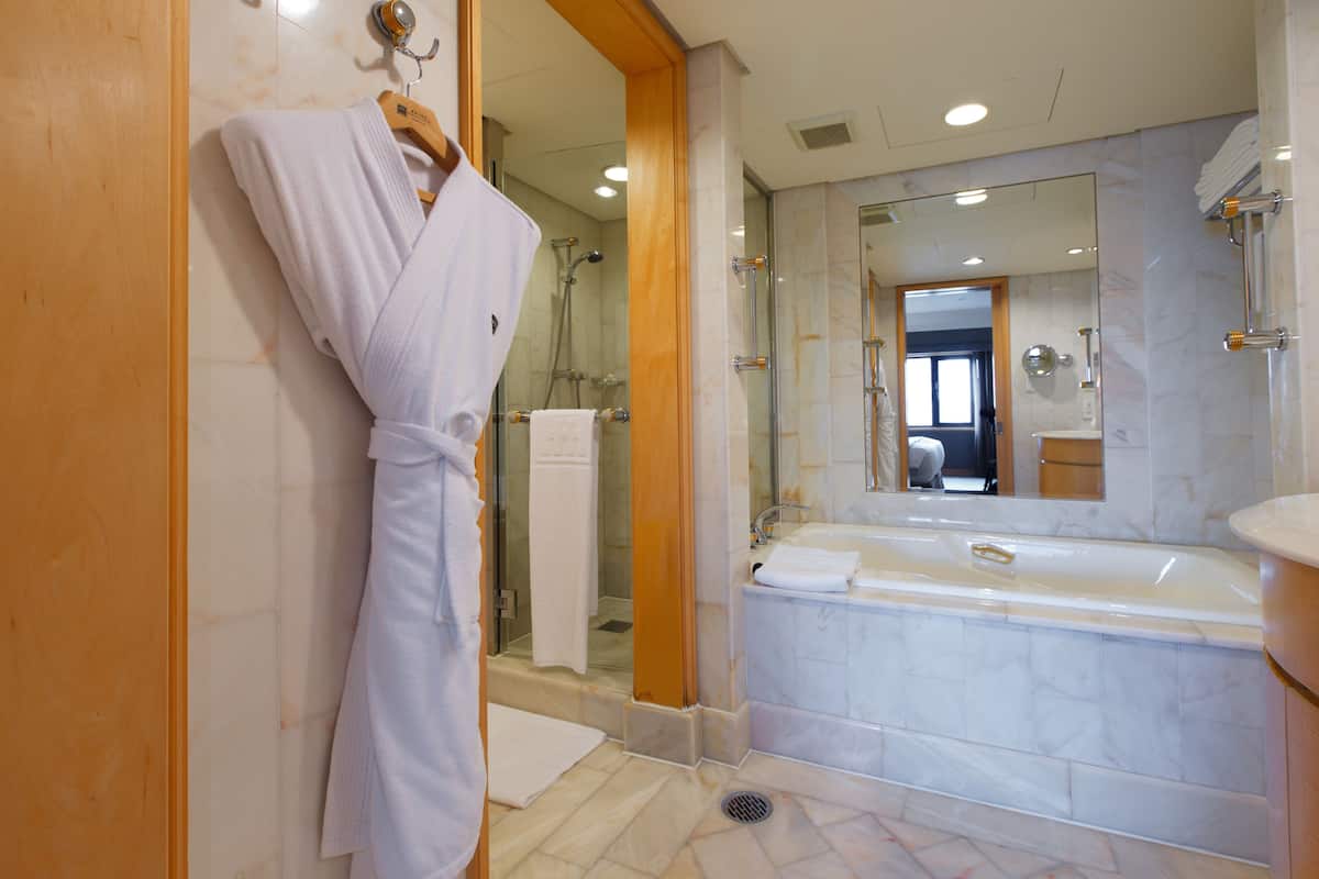 suite (ambassador) | bathroom | shower, free toiletries, hair dryer, bathrobes