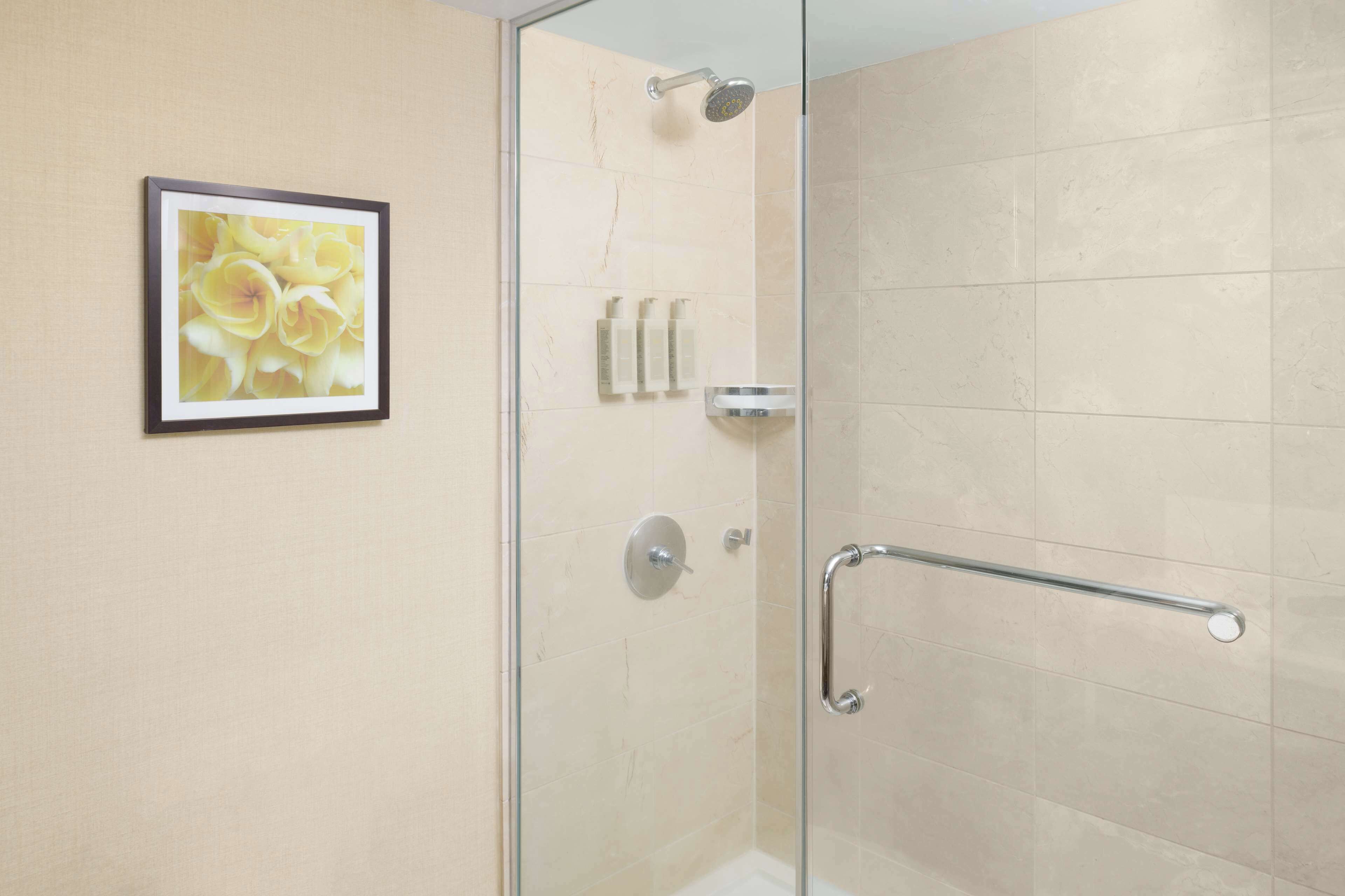 A glass-enclosed shower with a handheld showerhead, a glass door, and a handrail.
