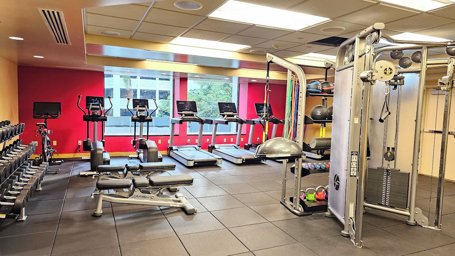 A gym with treadmills, weight machines, and free weights.