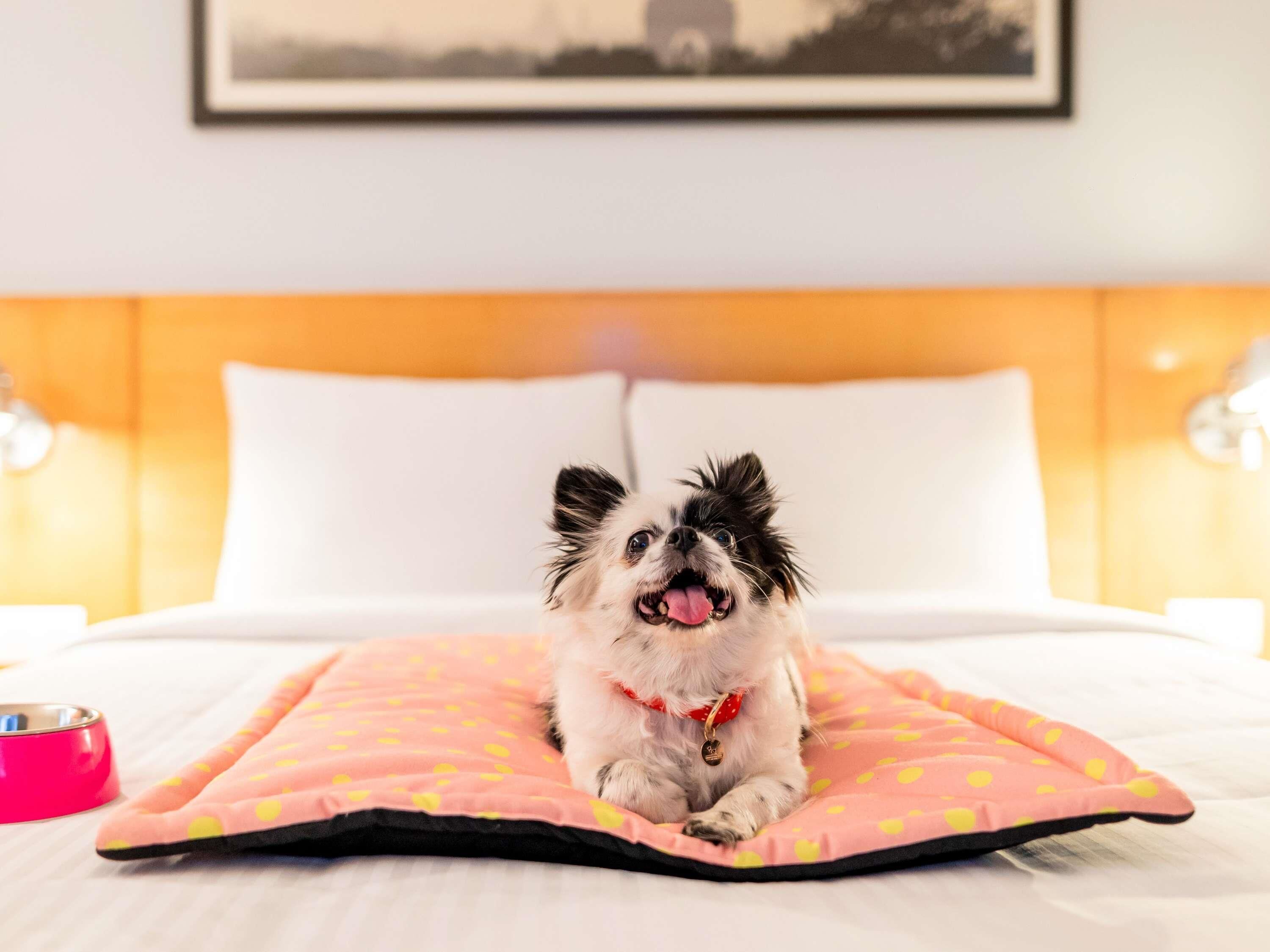 Standard Room, 2 Single Beds | Premium bedding, desk, blackout curtains, soundproofing