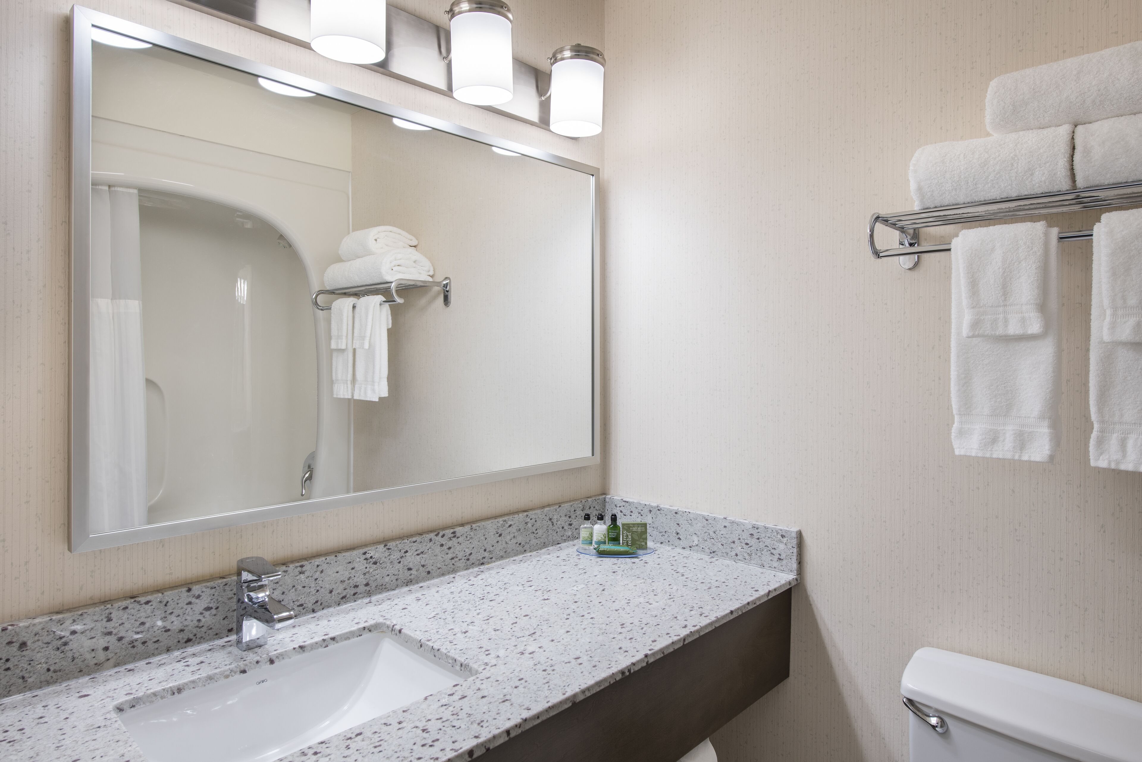 A bathroom with a large mirror, a sink, and a towel rack.