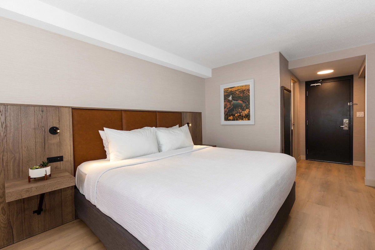 A modern hotel room with a large bed, a wooden headboard, a bedside table with a plant, and a door leading to another room.