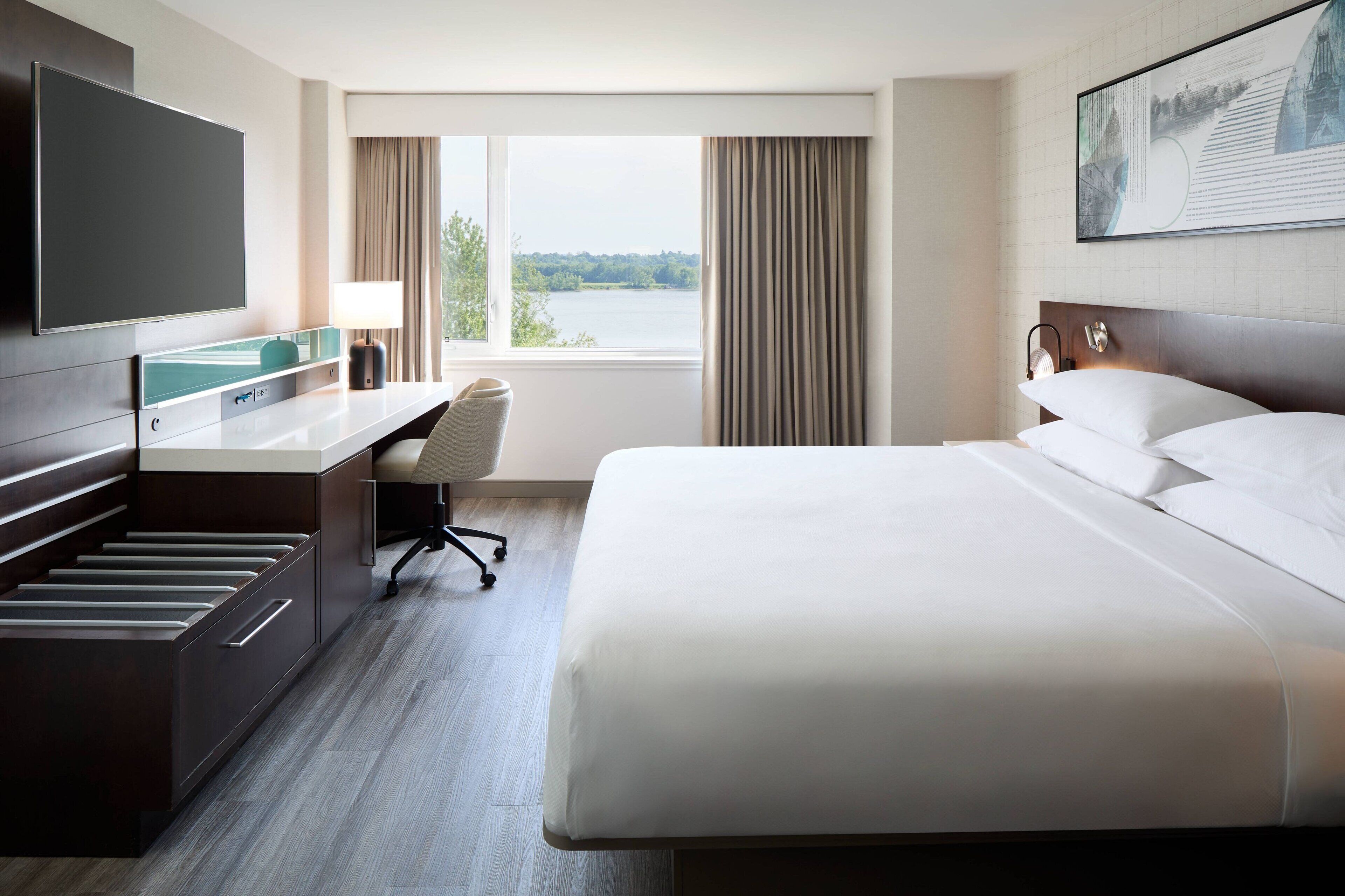 Suite, 1 King Bed
