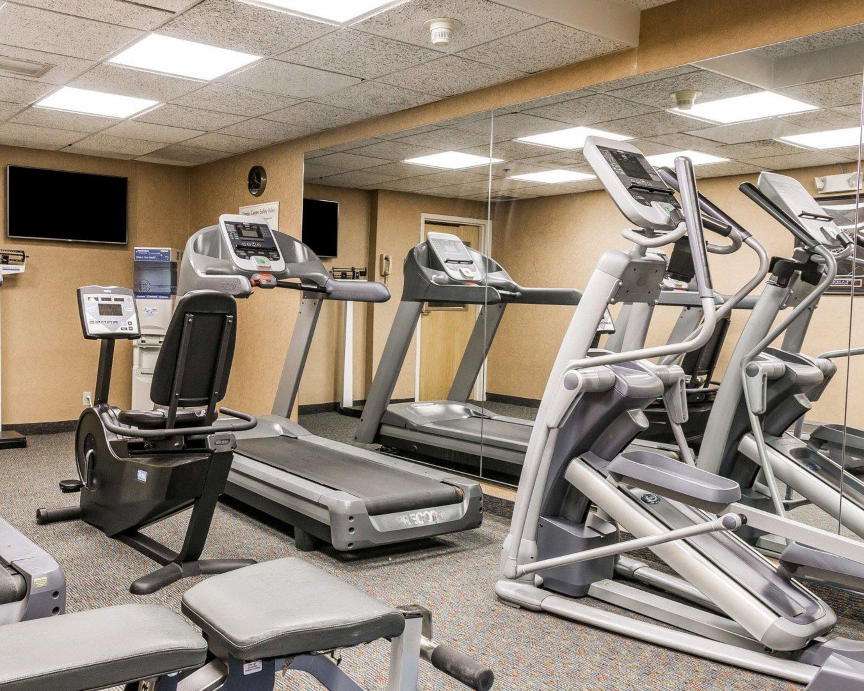 A gym with multiple treadmills, ellipticals, and a weight bench.