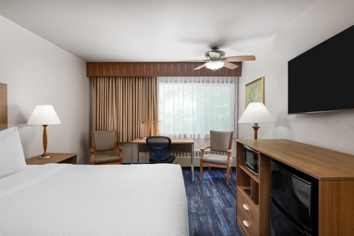 Habitación de hotel con cama, escritorio, sillas, televisor y ventilador de techo.