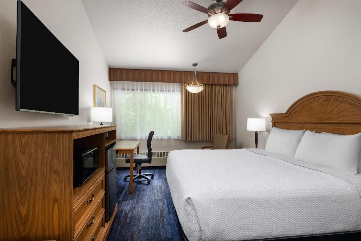 A hotel room with a bed, a desk with a chair, a television, and a ceiling fan.
